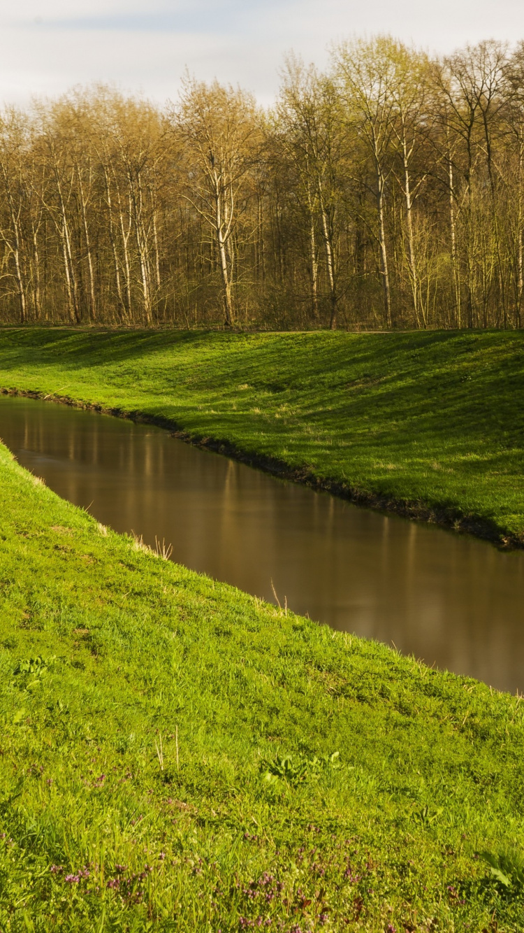 Eau, Les Ressources en Eau, Plante de la Communauté, L'écorégion, Paysage Naturel. Wallpaper in 750x1334 Resolution