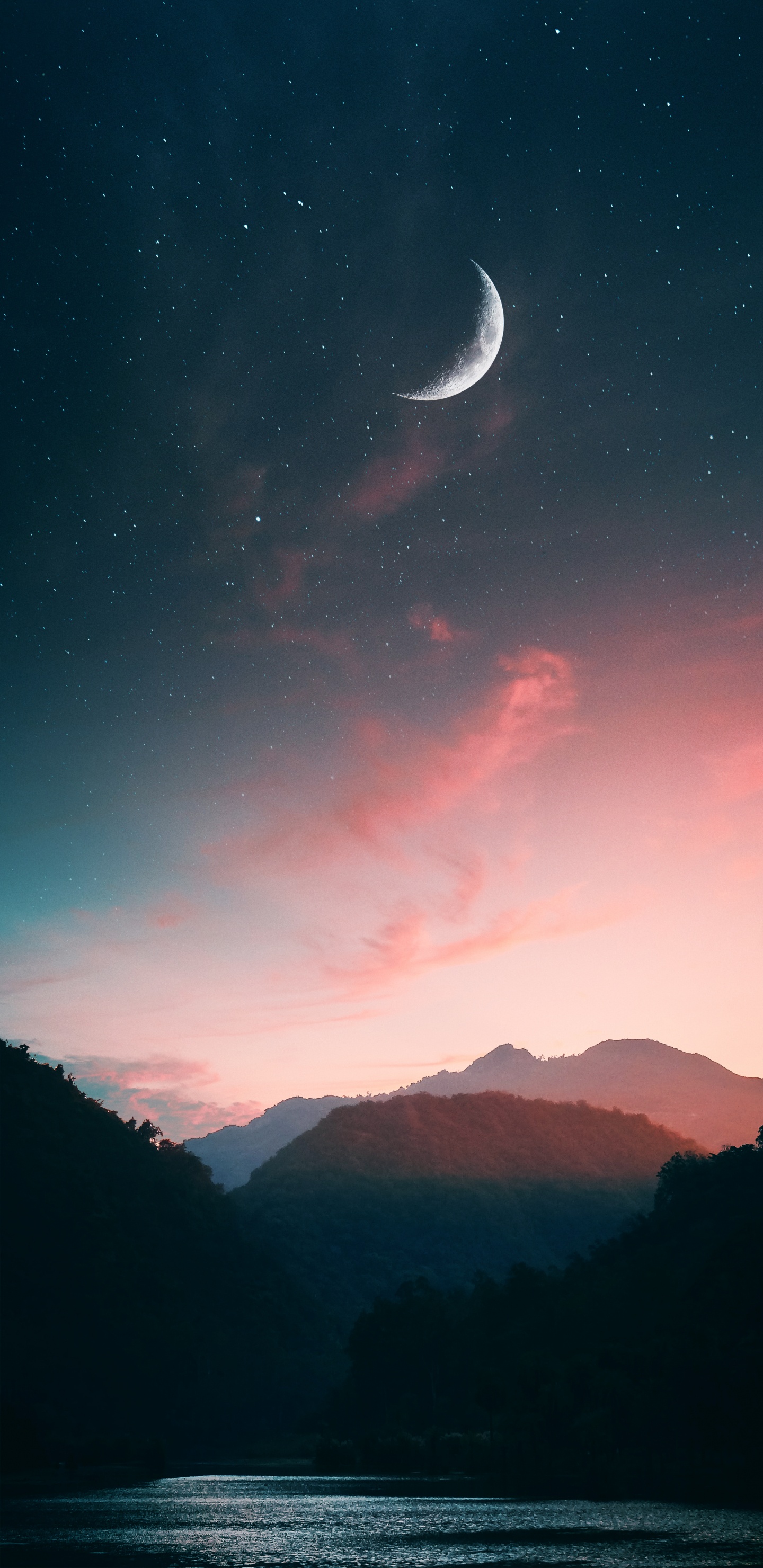 TIC Tac, Atmosphère, L'écorégion, Lumière, Nature. Wallpaper in 1440x2960 Resolution