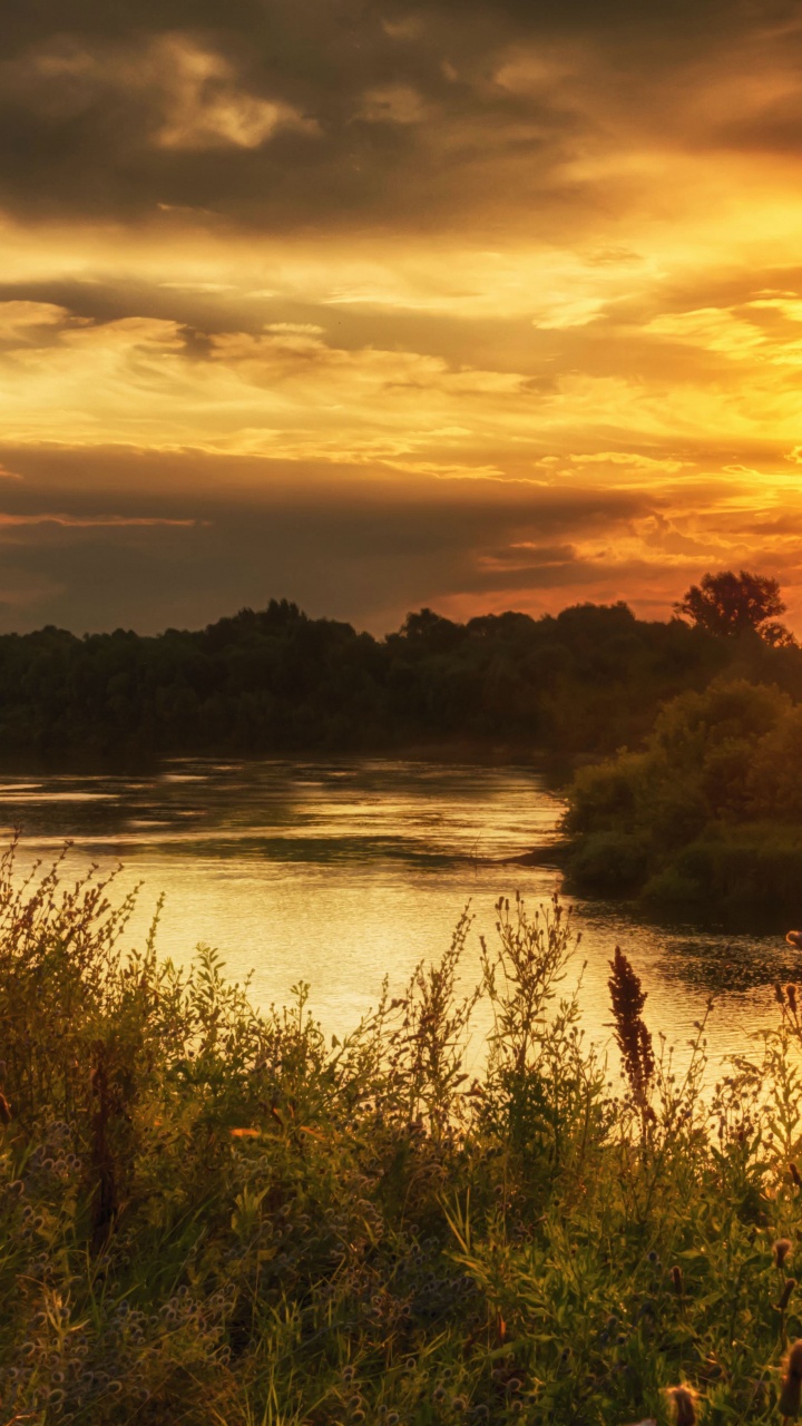 Herbe Verte Près du Plan D'eau Pendant le Coucher du Soleil. Wallpaper in 720x1280 Resolution