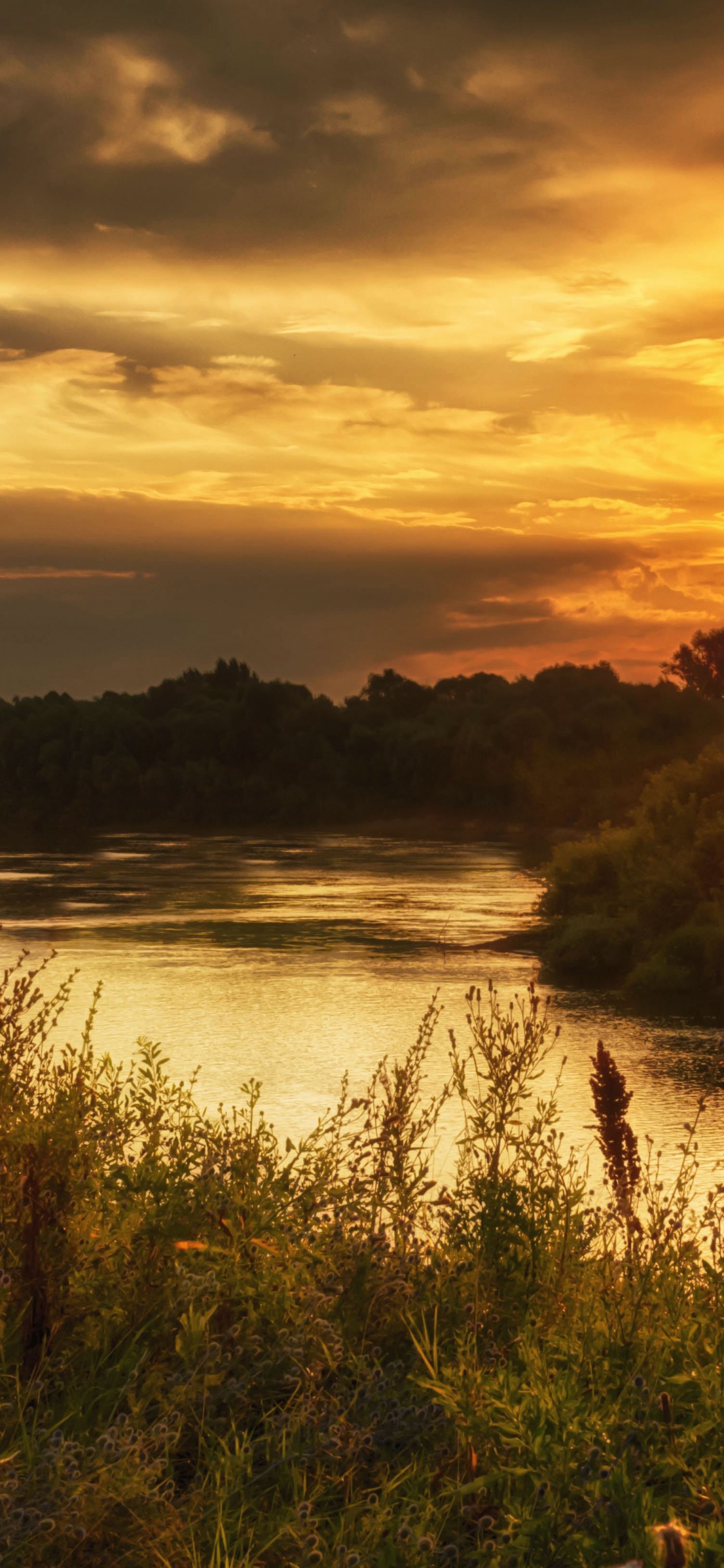 Grünes Gras in Der Nähe Von Gewässern Während Des Sonnenuntergangs. Wallpaper in 1125x2436 Resolution