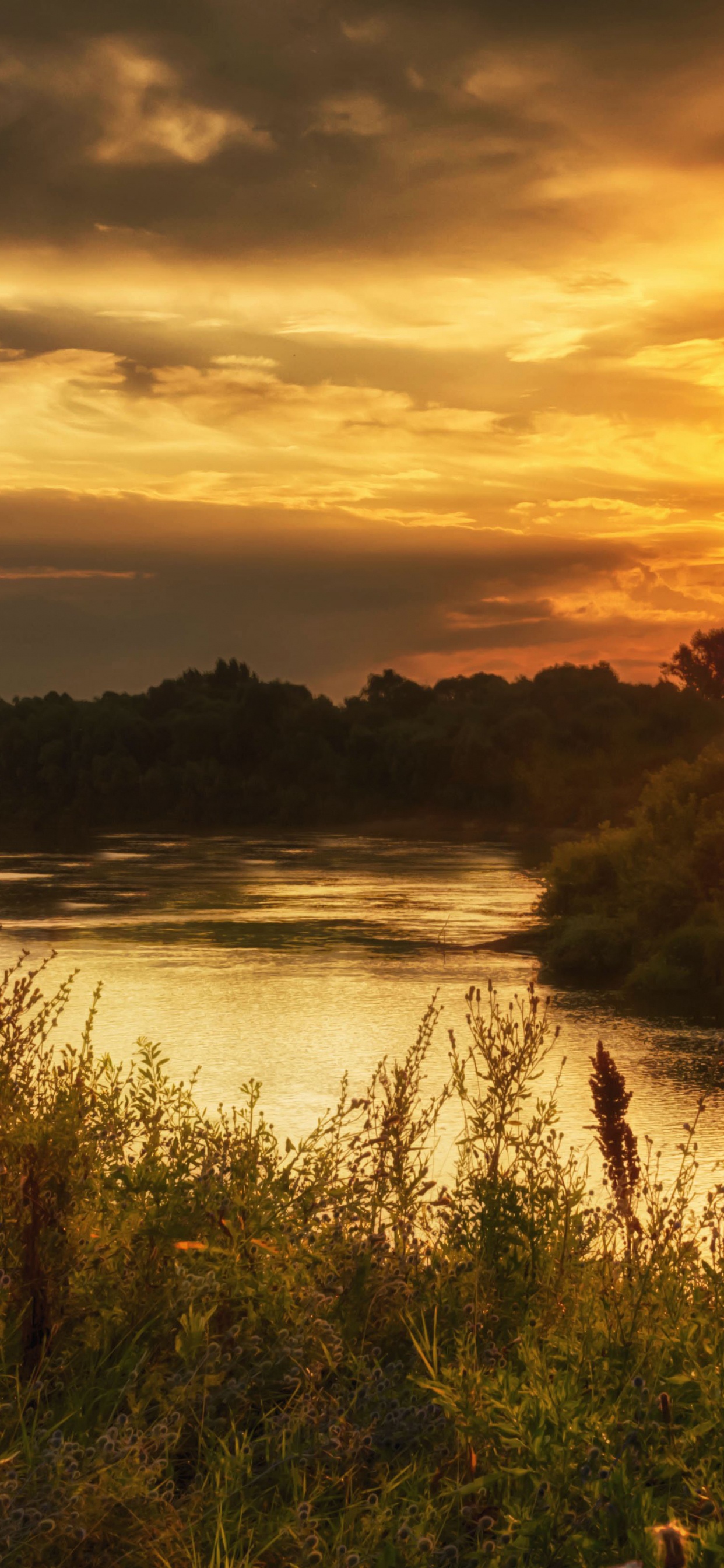 Grünes Gras in Der Nähe Von Gewässern Während Des Sonnenuntergangs. Wallpaper in 1242x2688 Resolution