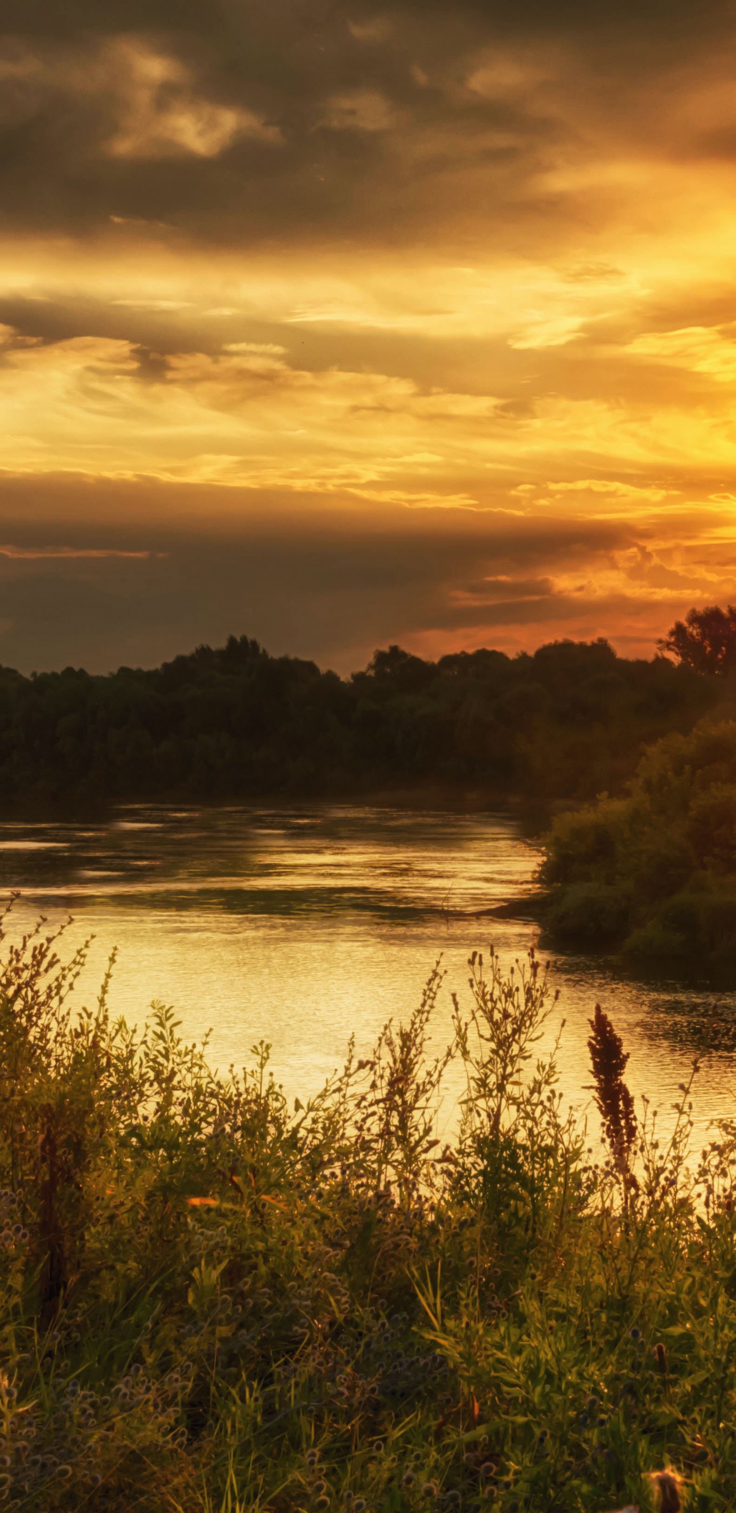 Grünes Gras in Der Nähe Von Gewässern Während Des Sonnenuntergangs. Wallpaper in 1440x2960 Resolution