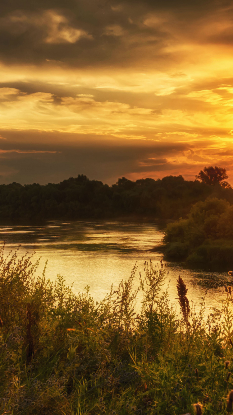 Green Grass Near Body of Water During Sunset. Wallpaper in 750x1334 Resolution