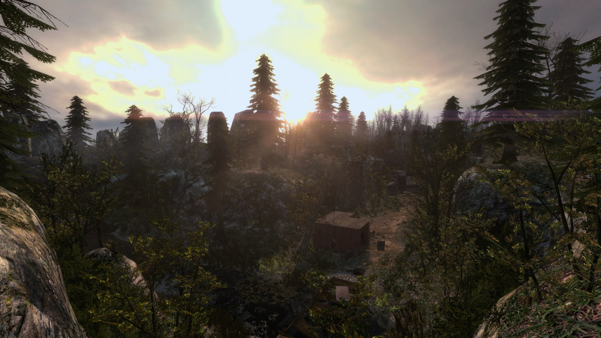 Wilderness, Desert, Vegetation, Biome, Forest. Wallpaper in 1920x1080 Resolution