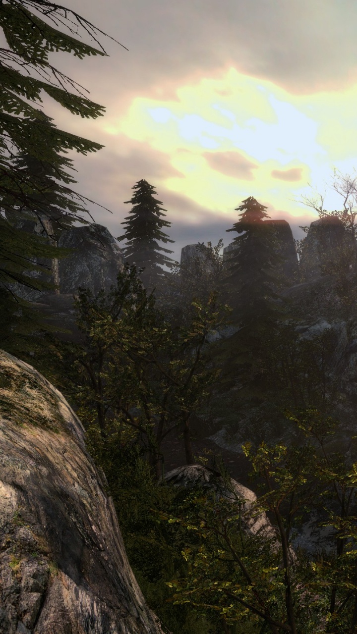 Wilderness, Desert, Vegetation, Biome, Forest. Wallpaper in 720x1280 Resolution