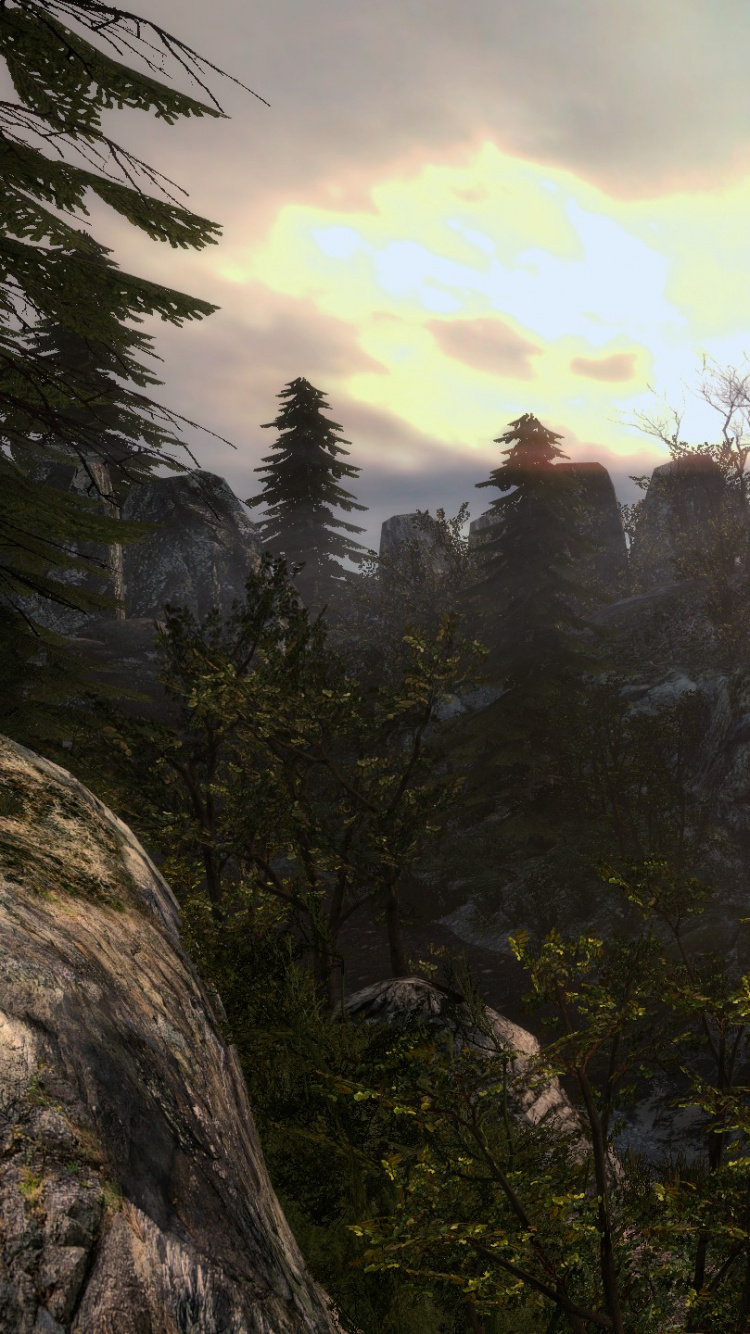 Wilderness, Desert, Vegetation, Biome, Forest. Wallpaper in 750x1334 Resolution