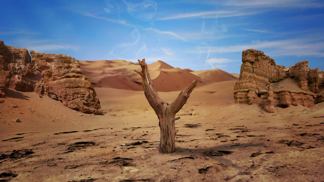 Brown Tree Trunk on Brown Sand Under Blue Sky During Daytime. Wallpaper in 1280x720 Resolution