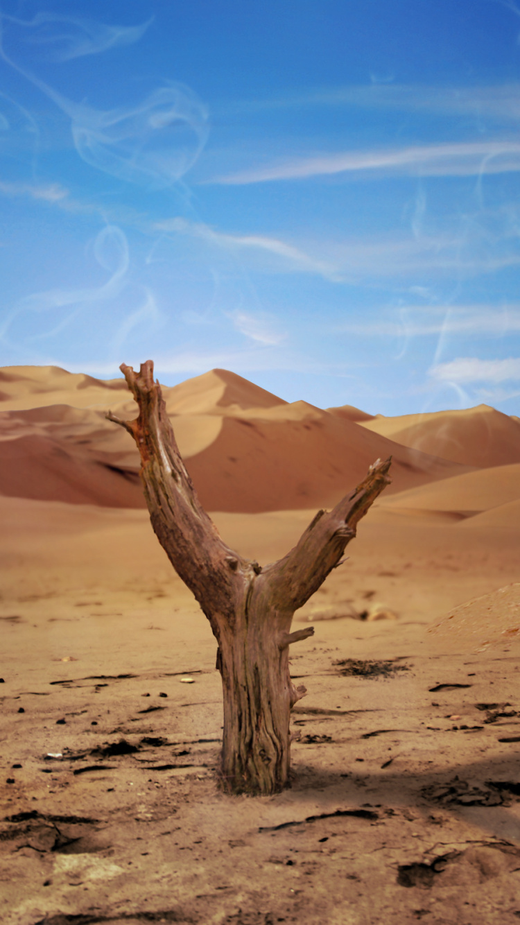 Brown Tree Trunk on Brown Sand Under Blue Sky During Daytime. Wallpaper in 750x1334 Resolution