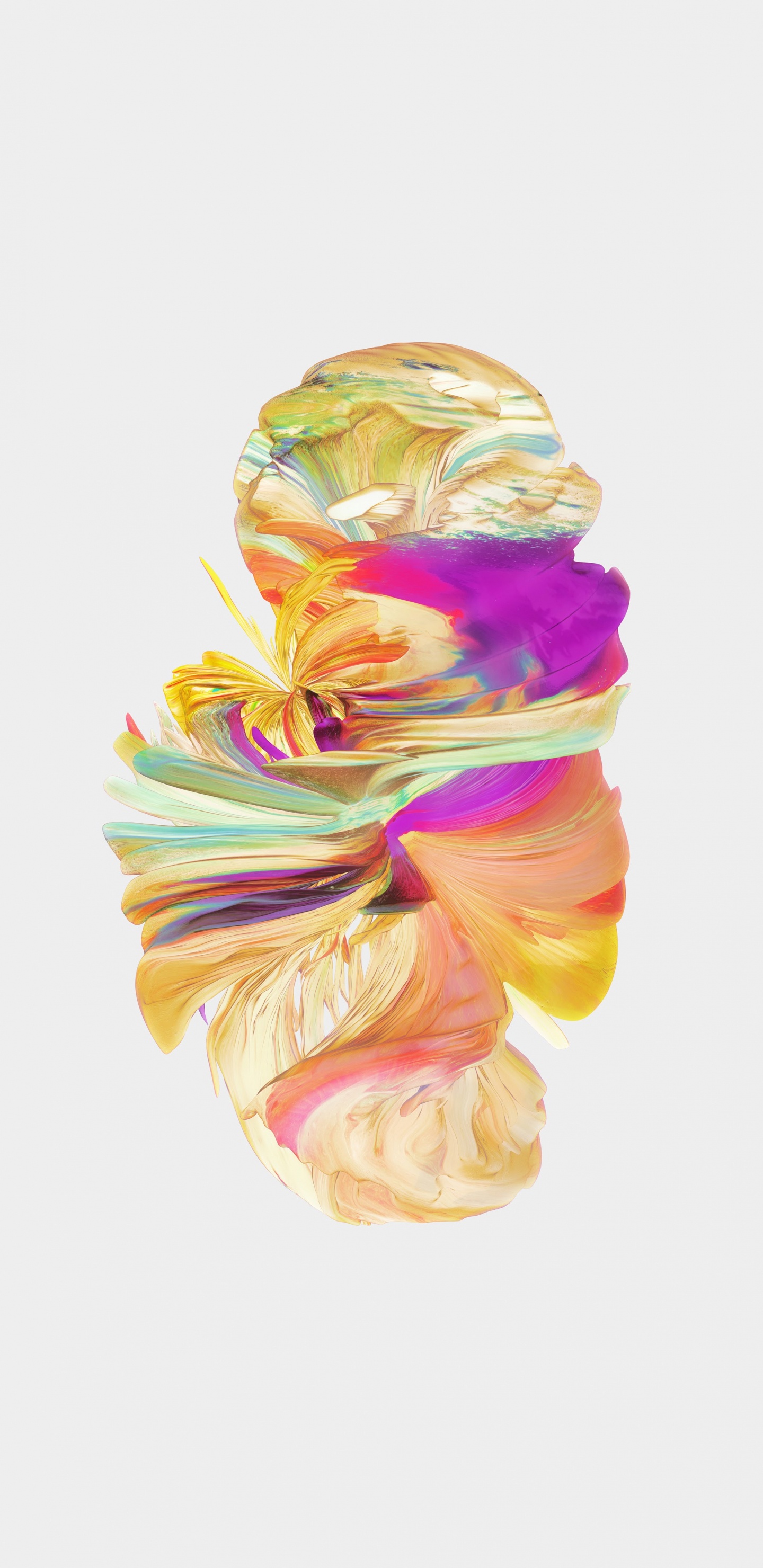 OnePlus 5, Android, Art, la Pureté de la Couleur, Peinture. Wallpaper in 1440x2960 Resolution