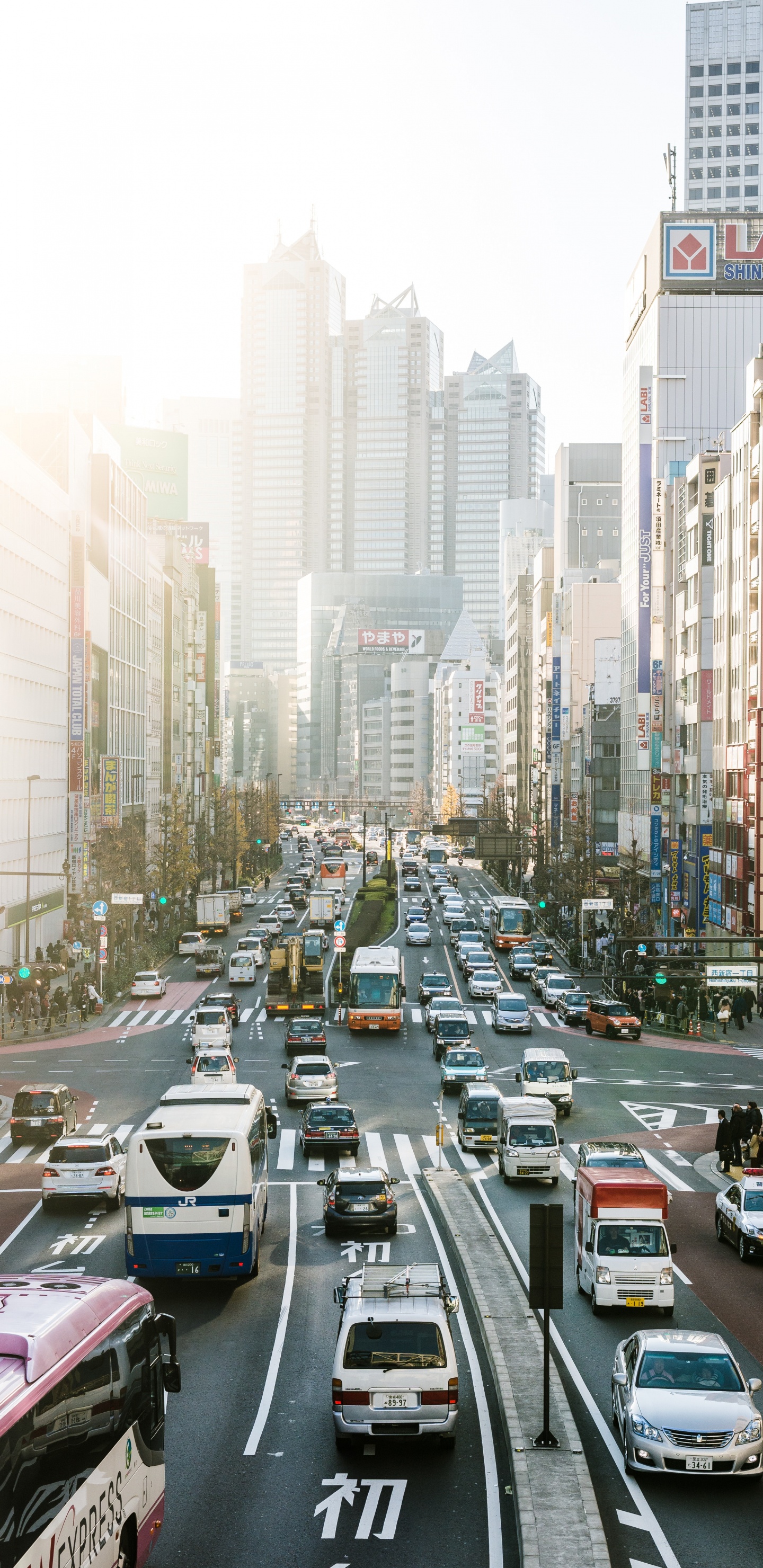 大都会, 城市, 城市景观, 市中心, 混合使用 壁纸 1440x2960 允许