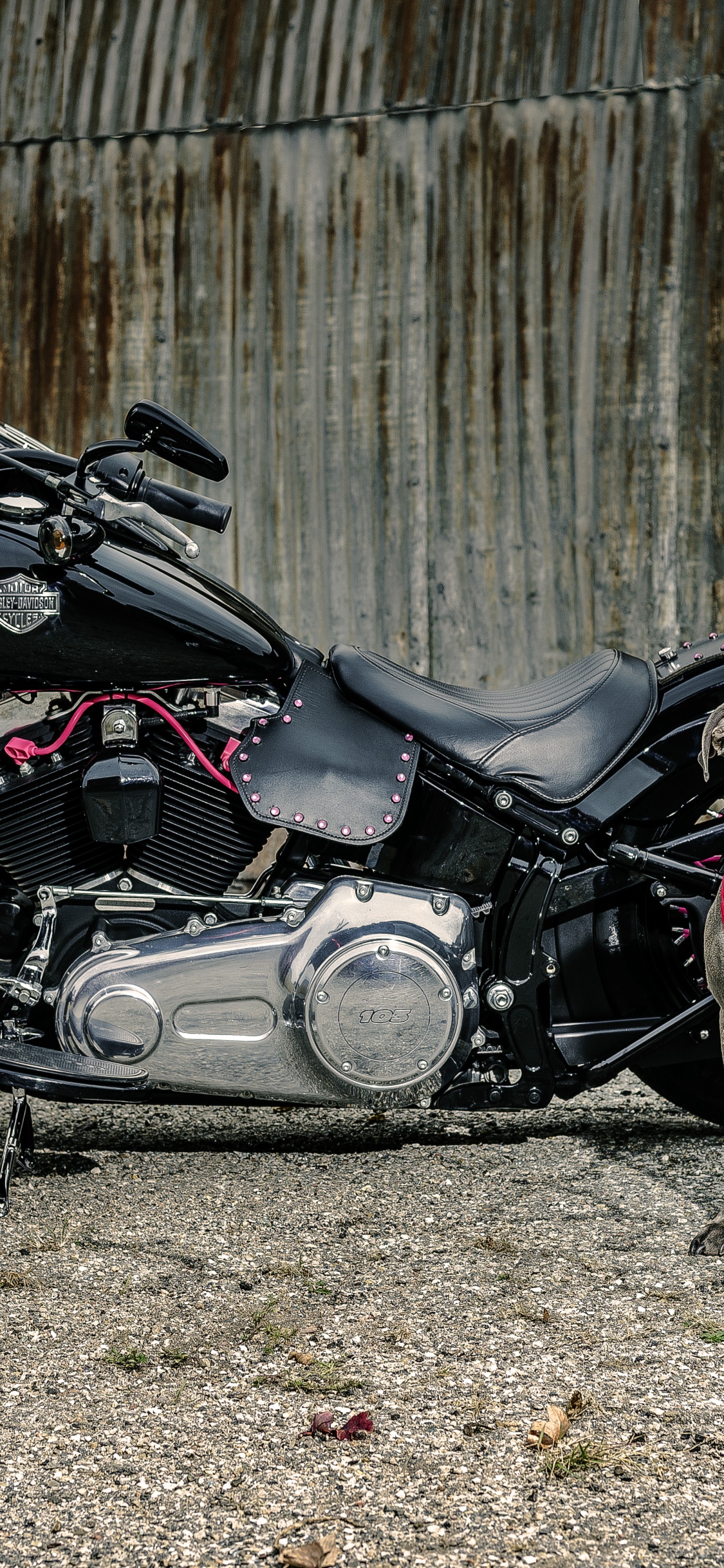 Black and Gray Motorcycle Beside Brown Wooden Fence During Daytime. Wallpaper in 1125x2436 Resolution