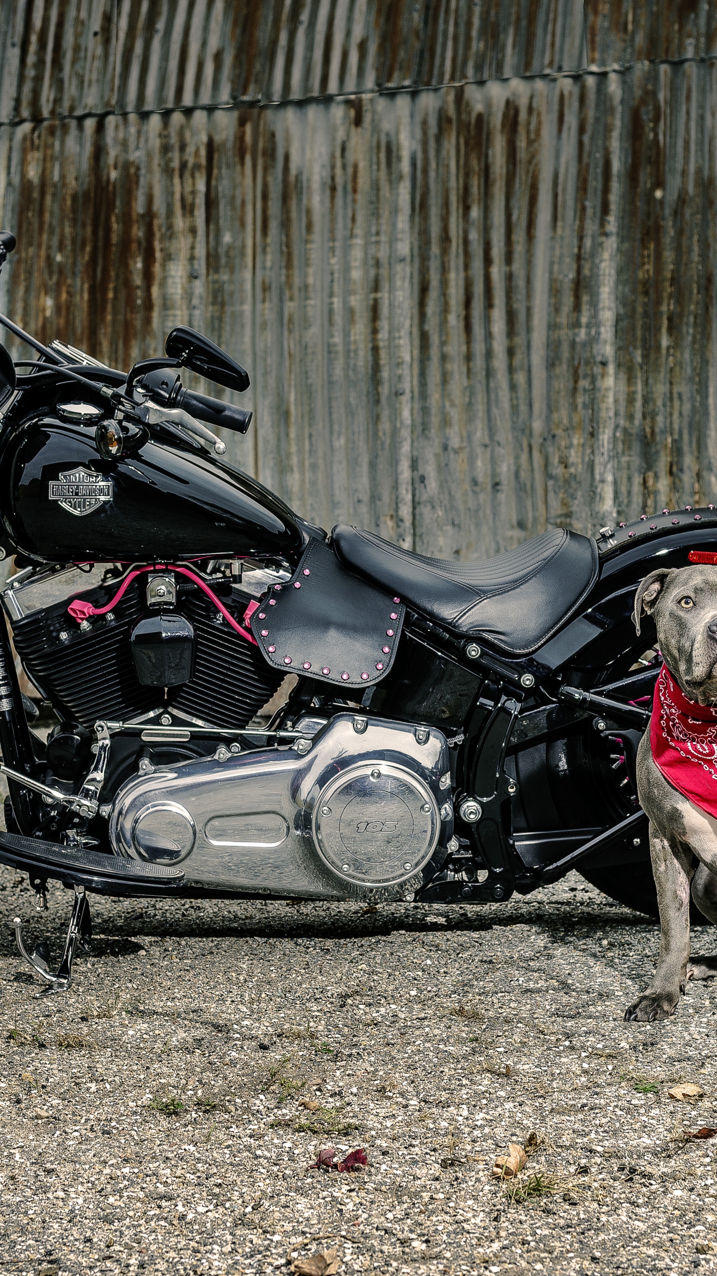Black and Gray Motorcycle Beside Brown Wooden Fence During Daytime. Wallpaper in 1440x2560 Resolution