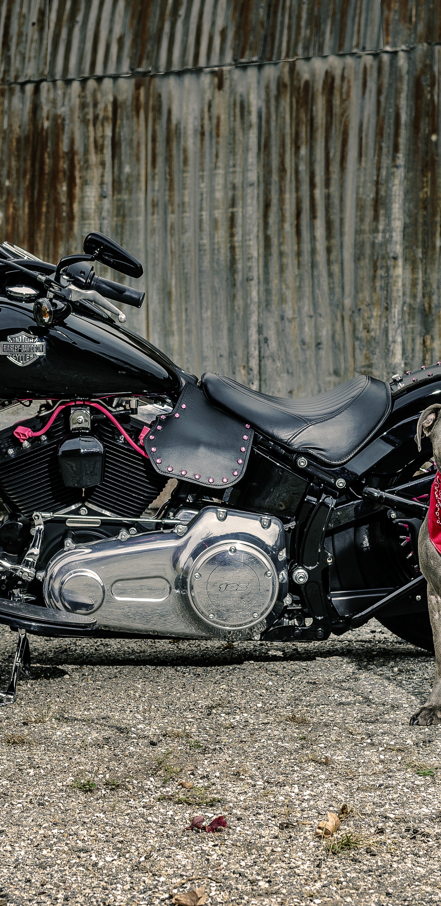 Black and Gray Motorcycle Beside Brown Wooden Fence During Daytime. Wallpaper in 1440x2960 Resolution