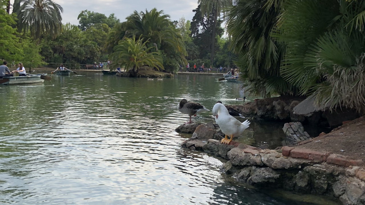 River, Waterway, Water Resources, Water, Watercourse. Wallpaper in 1280x720 Resolution