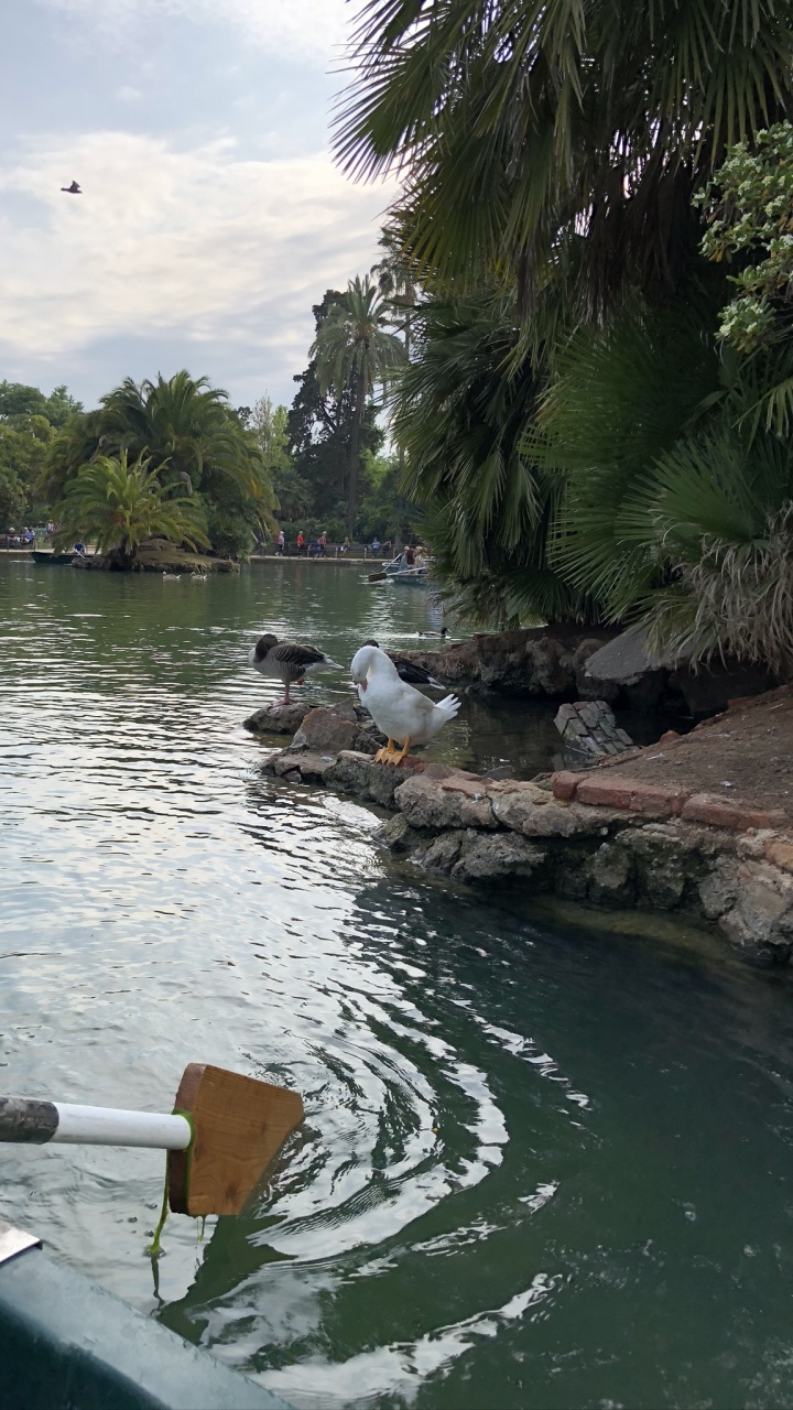 Rivière, Voie Navigable, Les Ressources en Eau, Eau, Cours D'eau. Wallpaper in 720x1280 Resolution