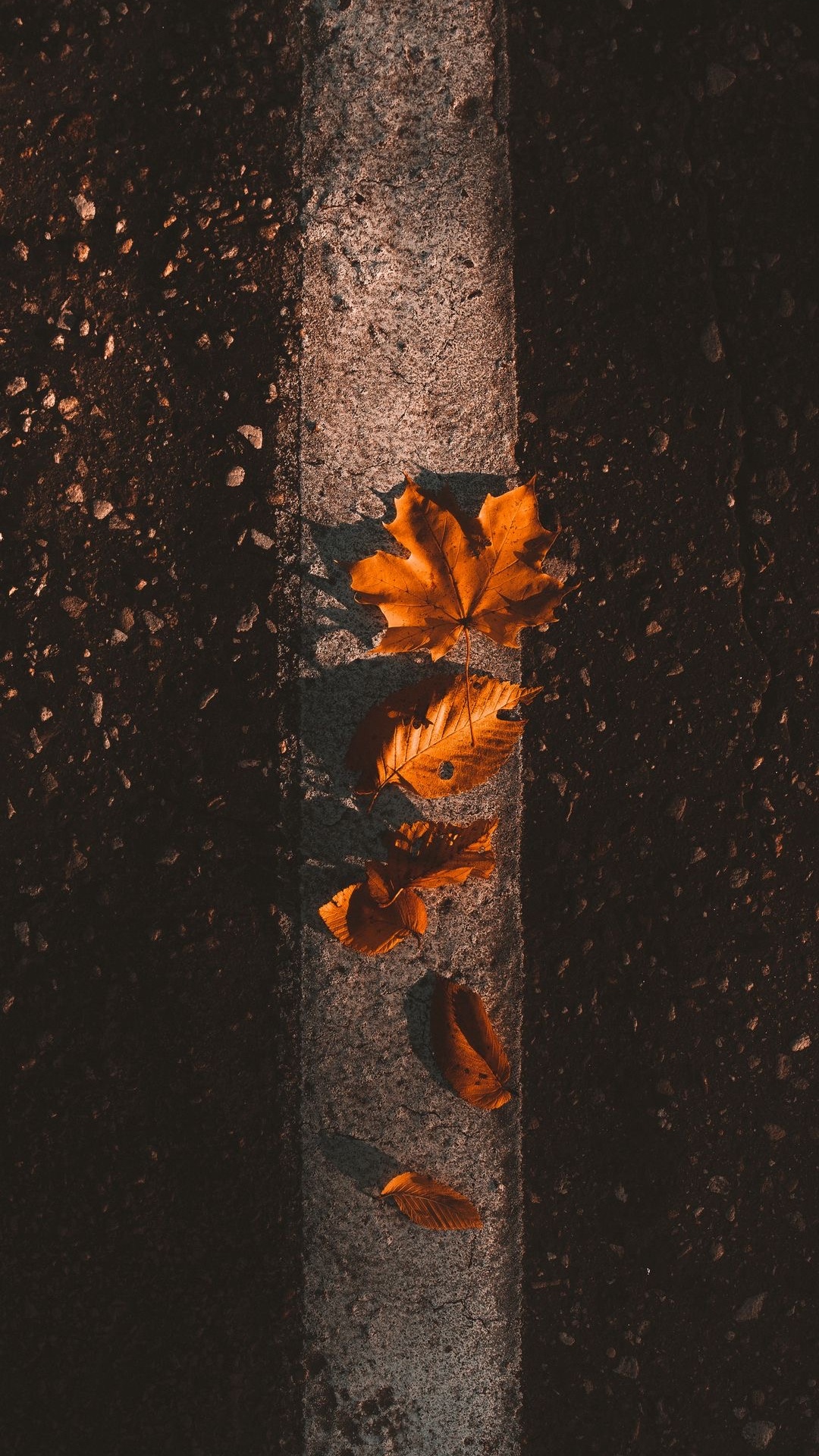 Orange, Feuille, la Feuille D'érable, Wisgoon - Réseau Social, L'érable Rouge. Wallpaper in 1080x1920 Resolution