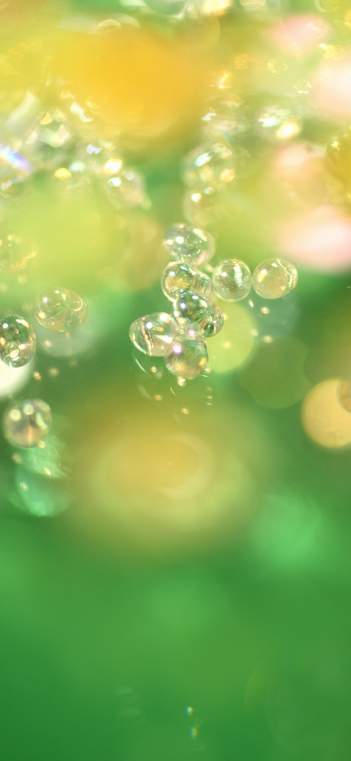 Water Droplets on Green Surface. Wallpaper in 1125x2436 Resolution