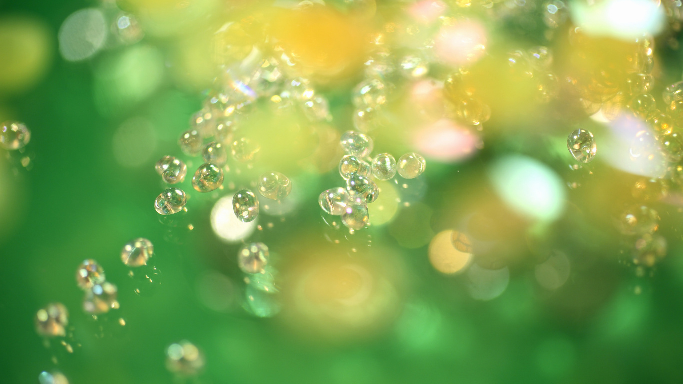 Water Droplets on Green Surface. Wallpaper in 1366x768 Resolution