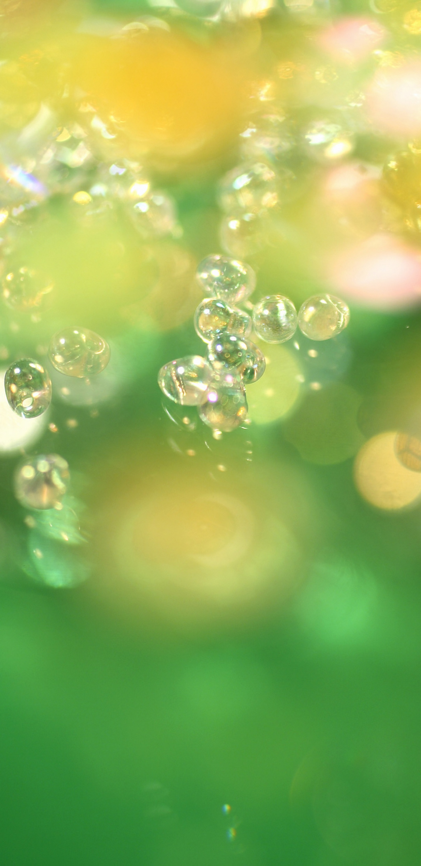 Water Droplets on Green Surface. Wallpaper in 1440x2960 Resolution