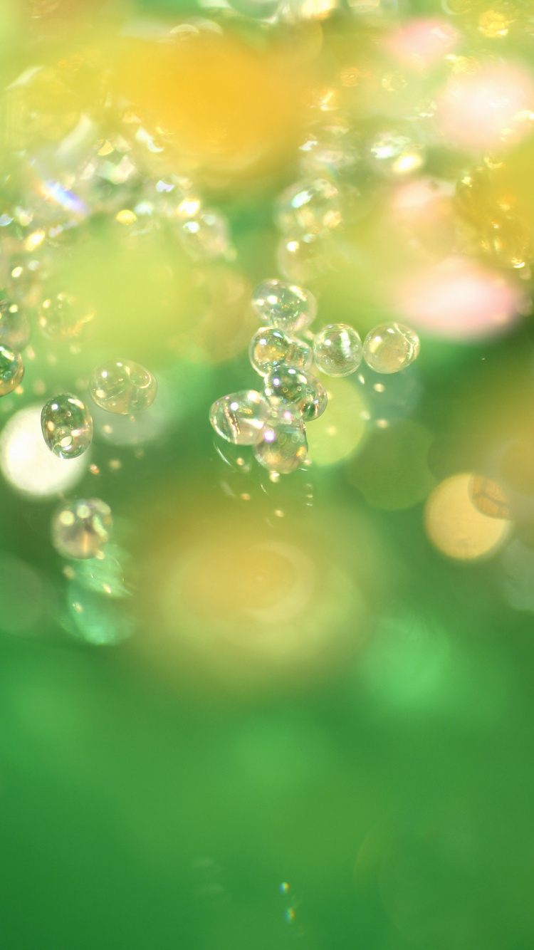 Water Droplets on Green Surface. Wallpaper in 750x1334 Resolution