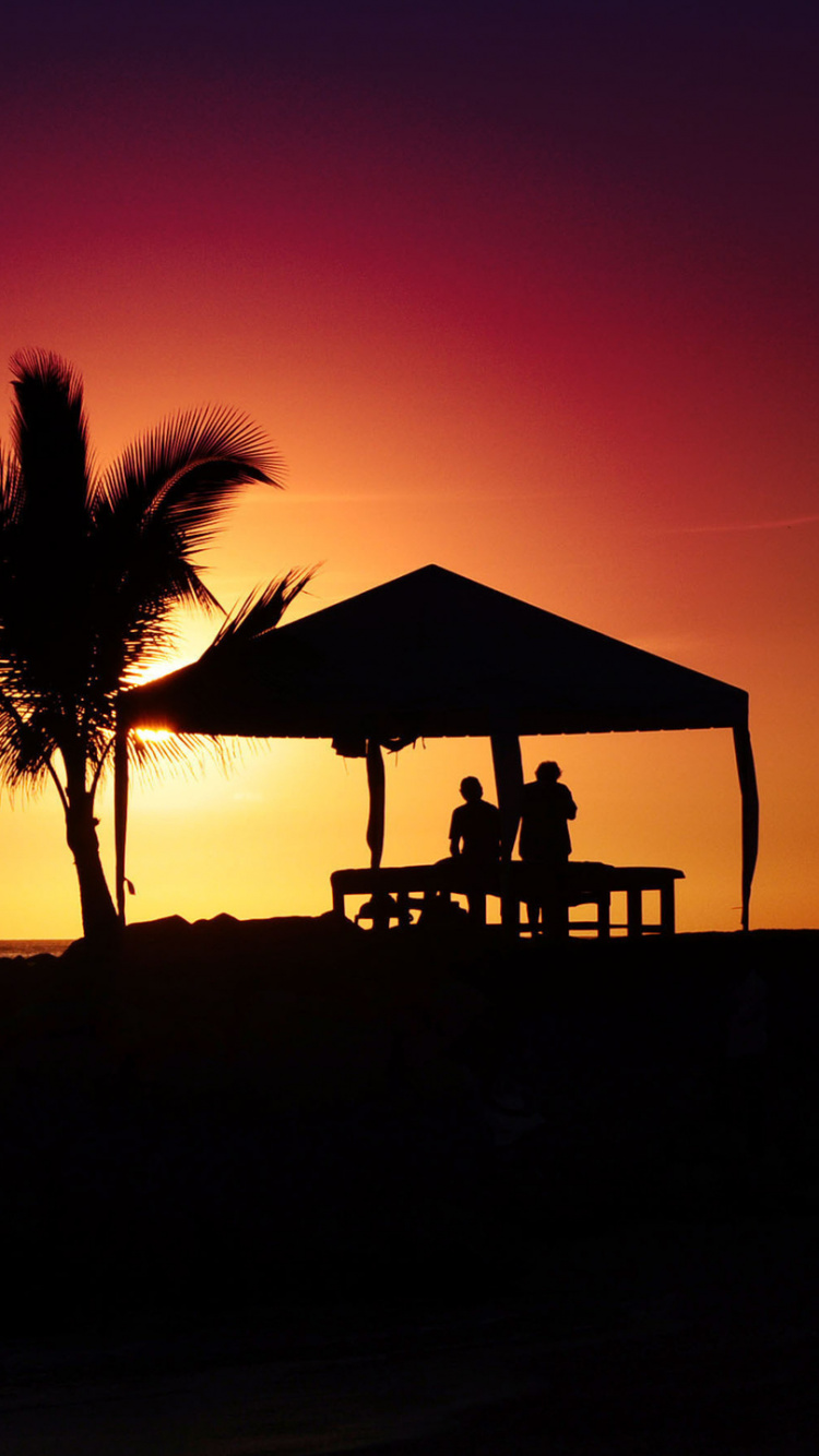 Silueta de 2 Personas de Pie Cerca de la Playa Durante la Puesta de Sol. Wallpaper in 750x1334 Resolution