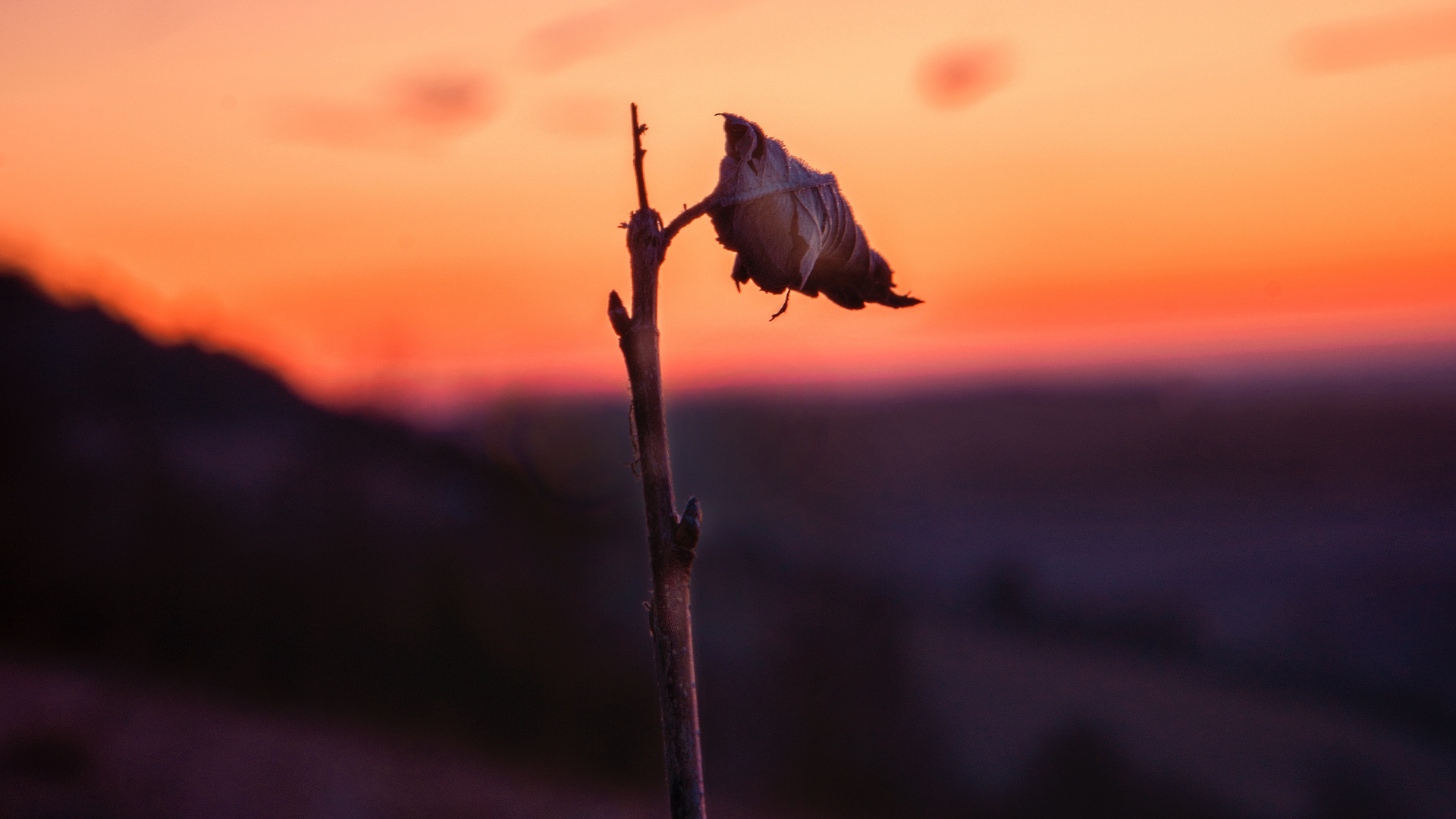 Eau, Atmosphère, Matin, Vidéo, Usine. Wallpaper in 1920x1080 Resolution