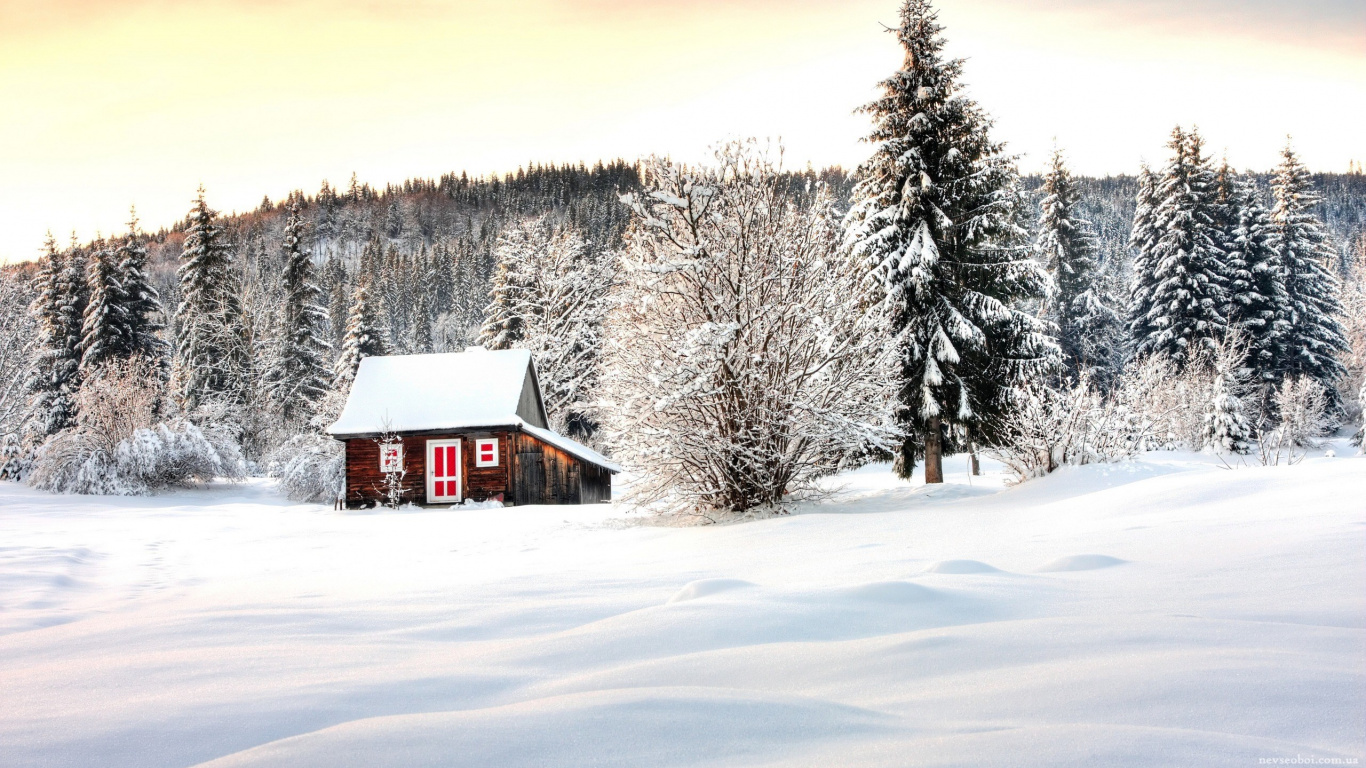 Braunes Holzhaus Mitten im Schneebedeckten Feld. Wallpaper in 1366x768 Resolution