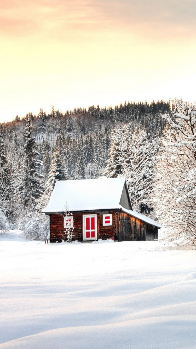 Brown Wooden House in The Middle of Snow Covered Field. Wallpaper in 750x1334 Resolution