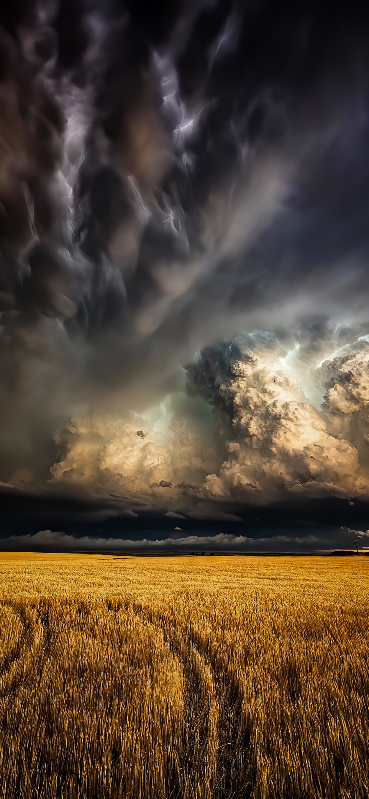Cloud, Storm, Plant, Atmosphere, Natural Landscape. Wallpaper in 1242x2688 Resolution