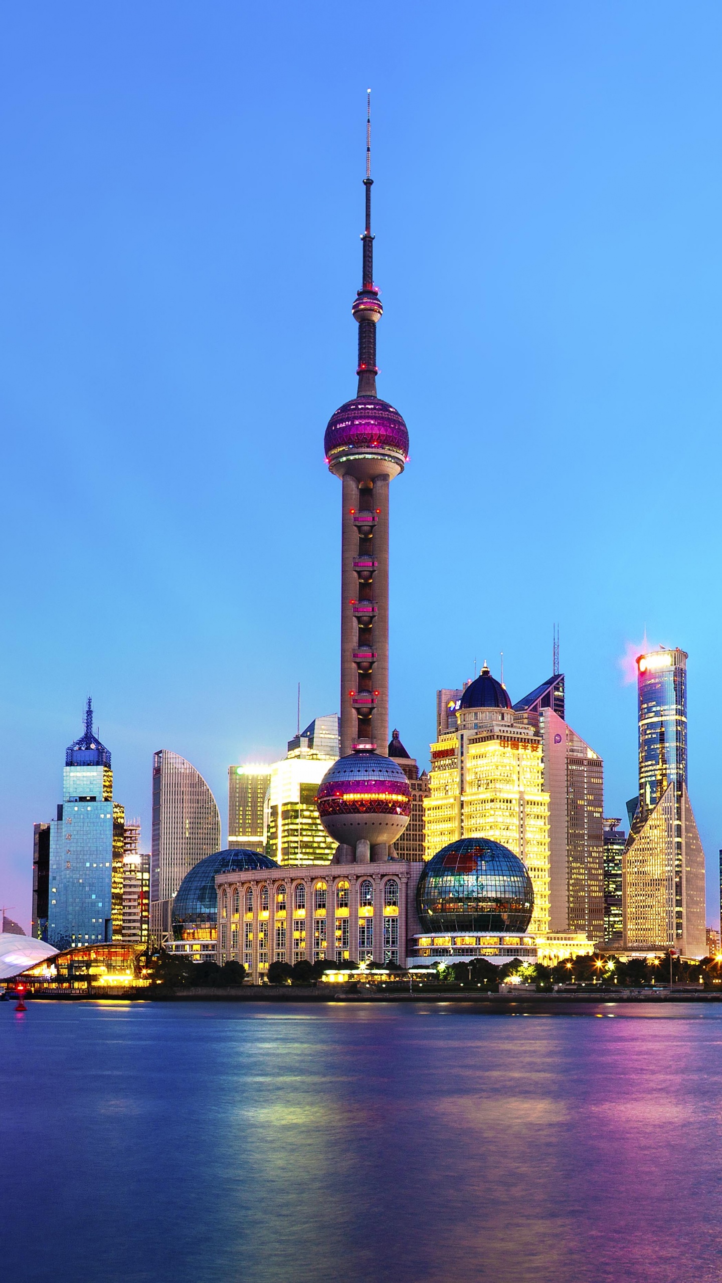 Skyline Der Stadt Bei Nacht Night. Wallpaper in 1440x2560 Resolution