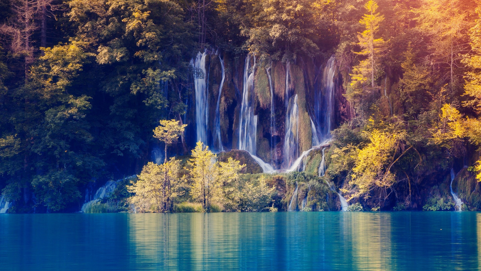 Cascades en Forêt Pendant la Journée. Wallpaper in 1920x1080 Resolution
