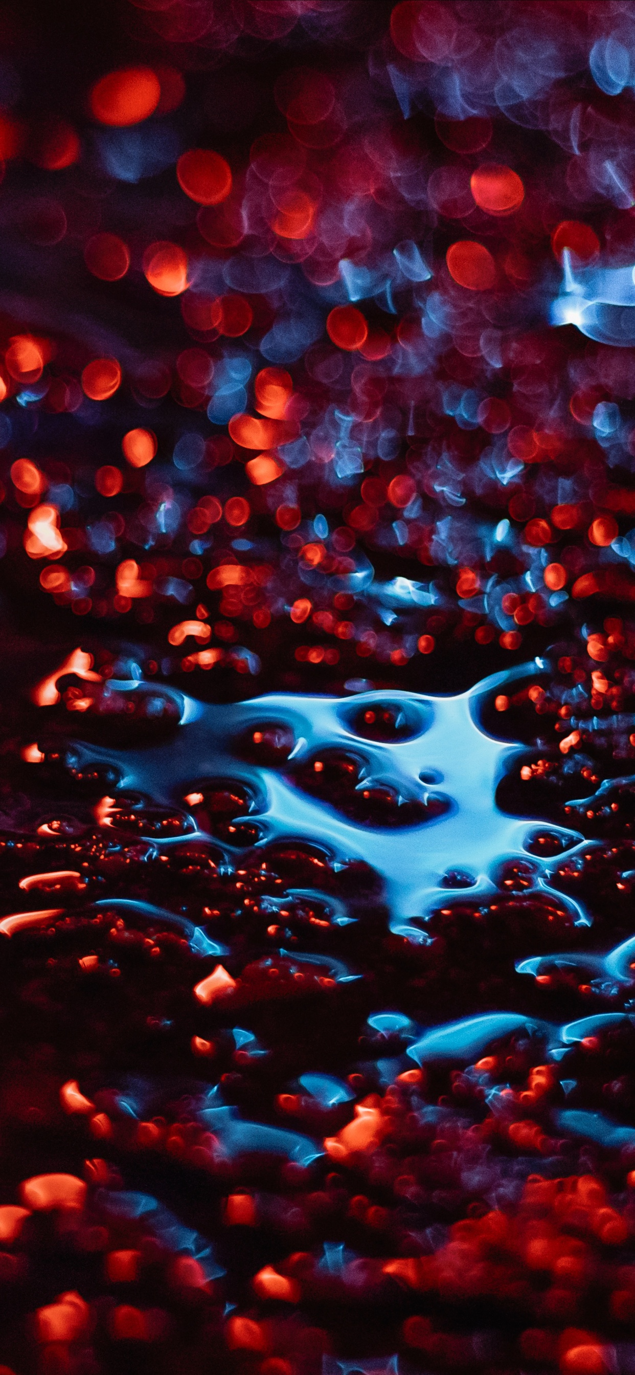 Eau, Red, Blue, la Pureté de la Couleur, Pluie. Wallpaper in 1242x2688 Resolution