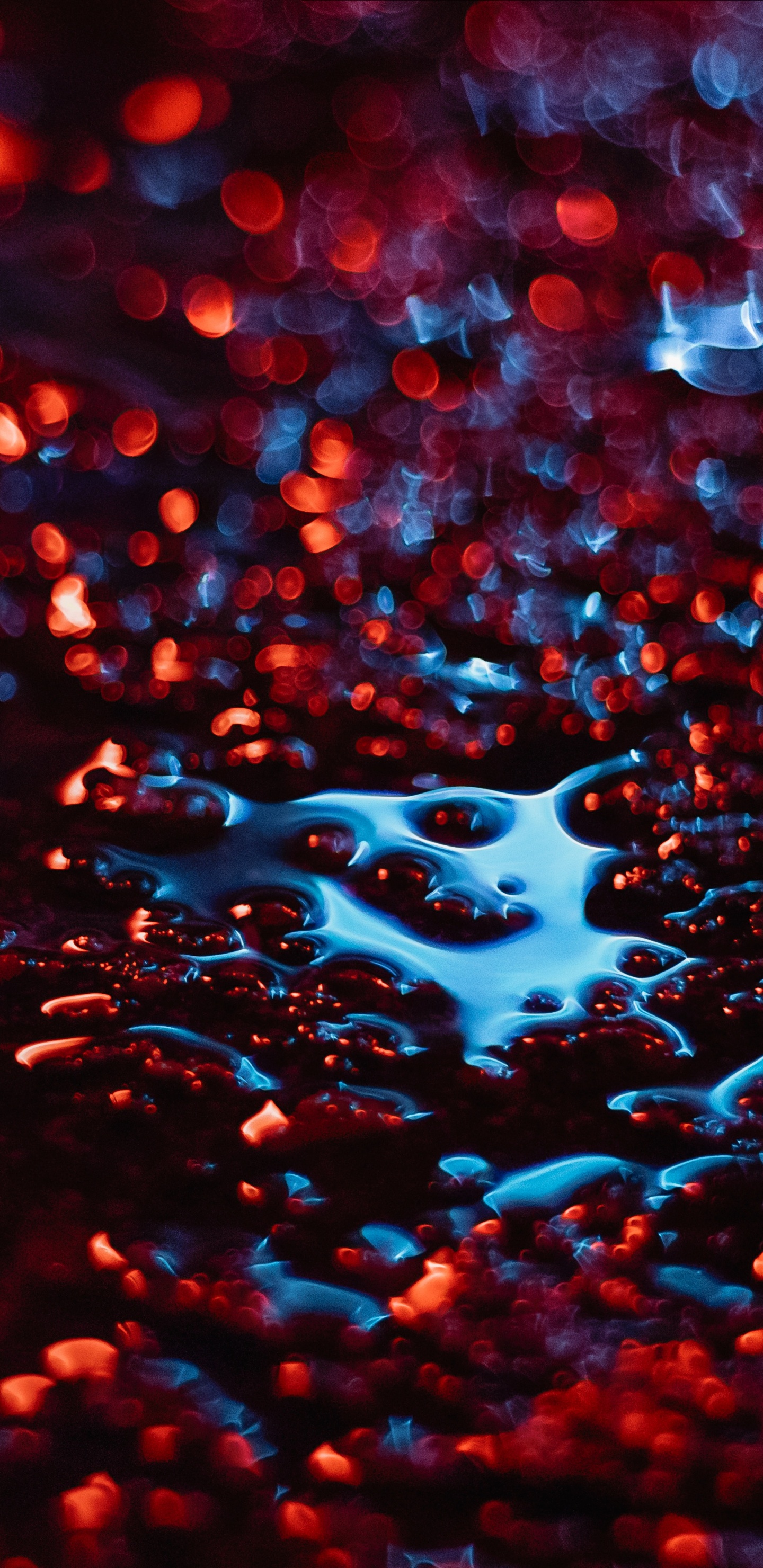 Agua, Rojo, Azul, Lluvia, Precipitación. Wallpaper in 1440x2960 Resolution