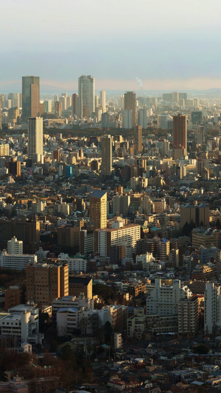 Vista Aérea de Los Edificios de la Ciudad Durante el Día.. Wallpaper in 720x1280 Resolution
