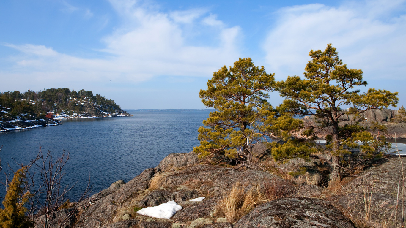Green Trees Near Body of Water During Daytime. Wallpaper in 1366x768 Resolution
