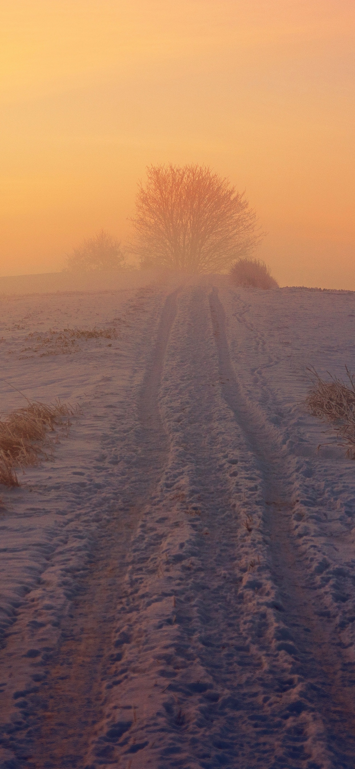 Steppe, Neige, Hiver, Toundra, Atmosphère. Wallpaper in 1242x2688 Resolution