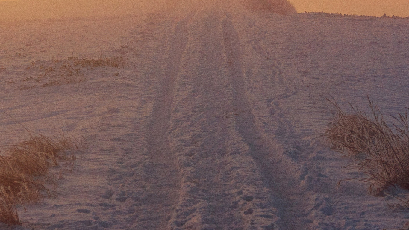 Steppe, Schnee, Winter, Tundra, Atmosphäre. Wallpaper in 1366x768 Resolution