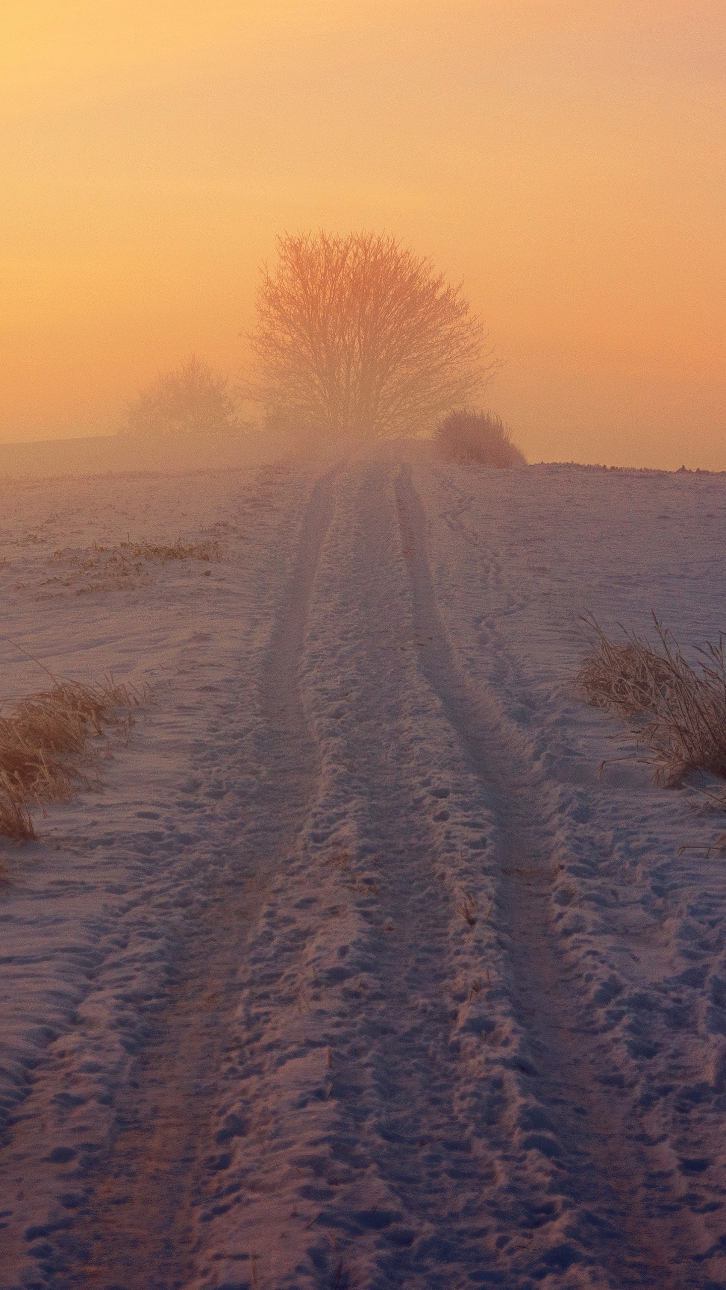 Steppe, Schnee, Winter, Tundra, Atmosphäre. Wallpaper in 1440x2560 Resolution