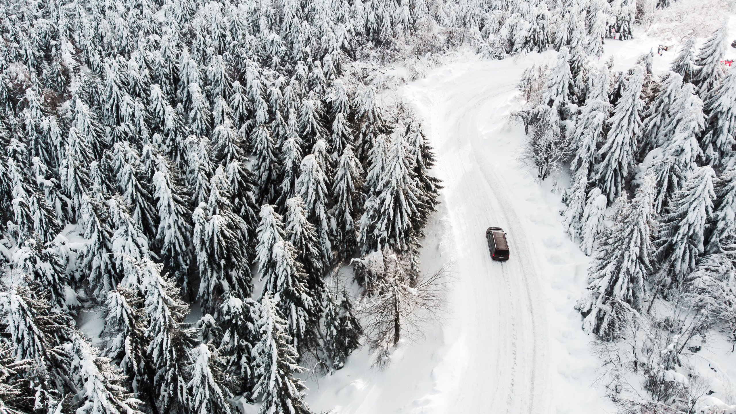 Hiver, Saison, Pneu, Neige, Automobile Pneu. Wallpaper in 2560x1440 Resolution