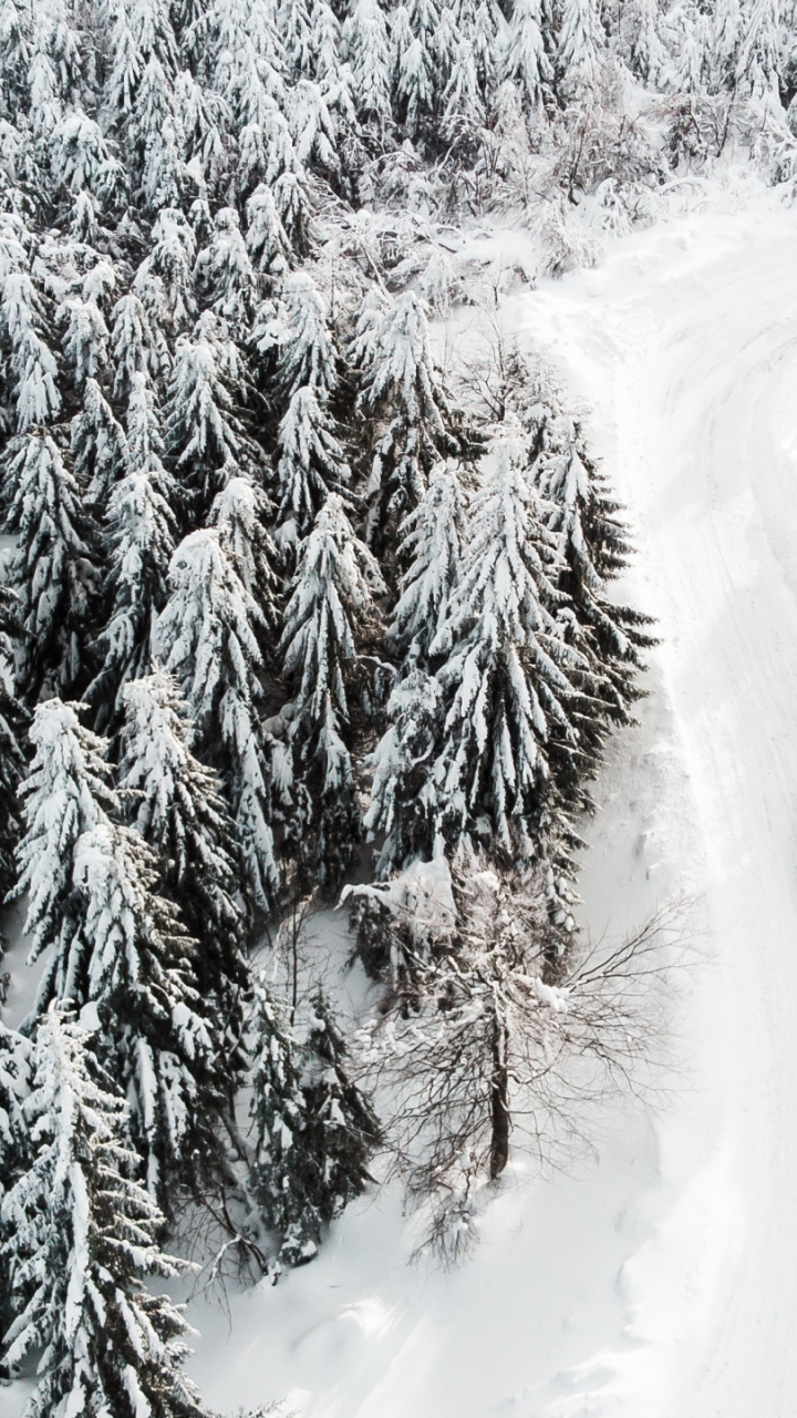 Hiver, Saison, Pneu, Neige, Automobile Pneu. Wallpaper in 720x1280 Resolution