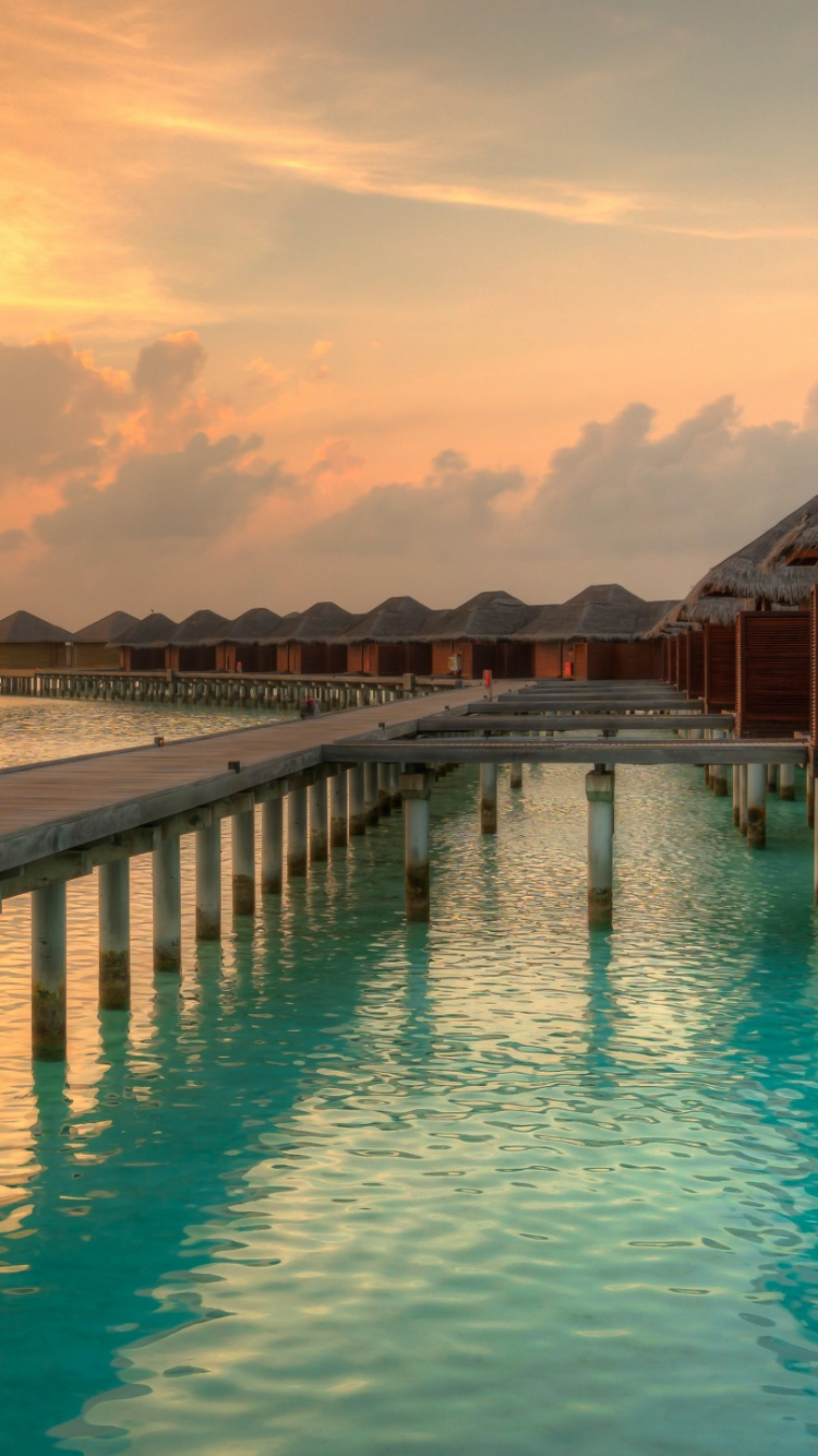 Braunes Holzdock am Meer Tagsüber. Wallpaper in 750x1334 Resolution