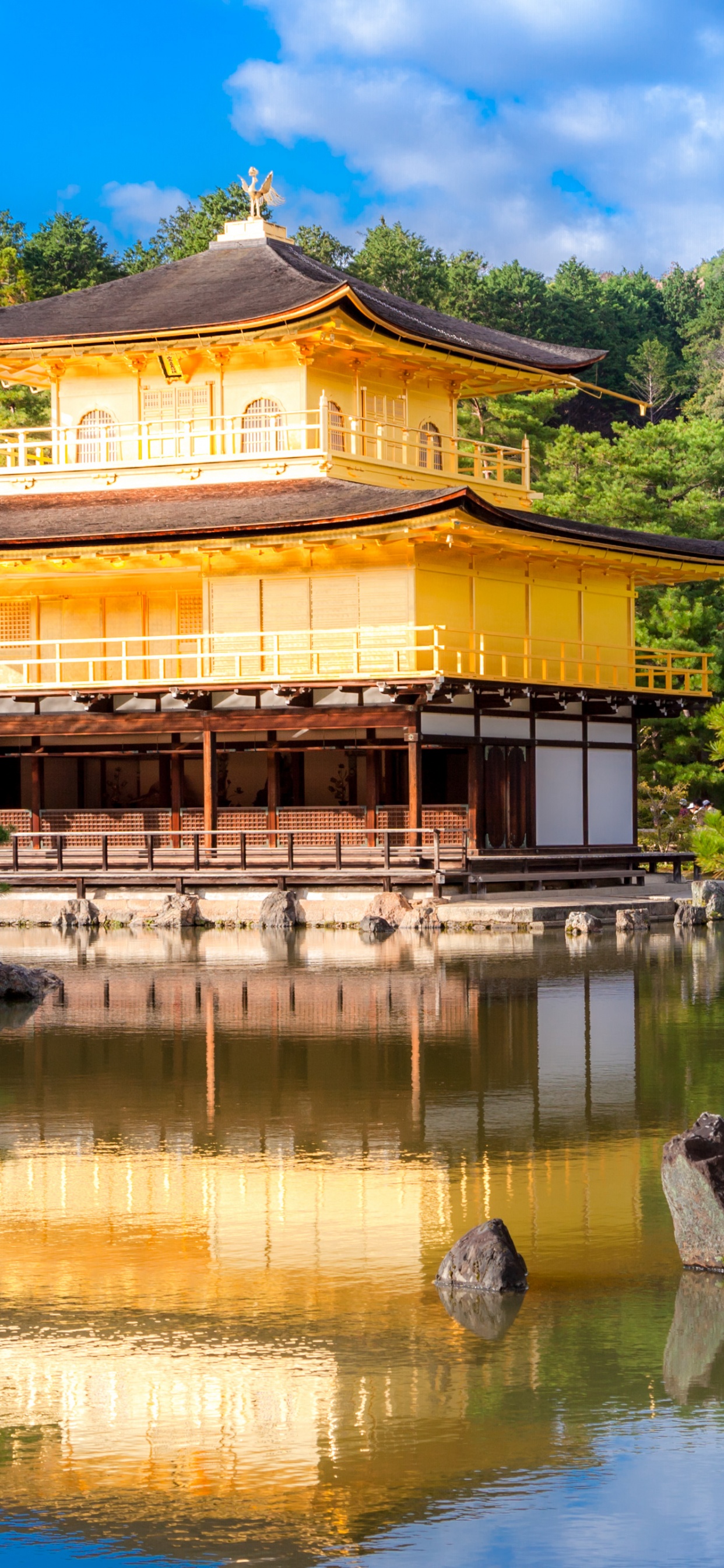 Brown Wooden House Near Green Trees and River During Daytime. Wallpaper in 1242x2688 Resolution