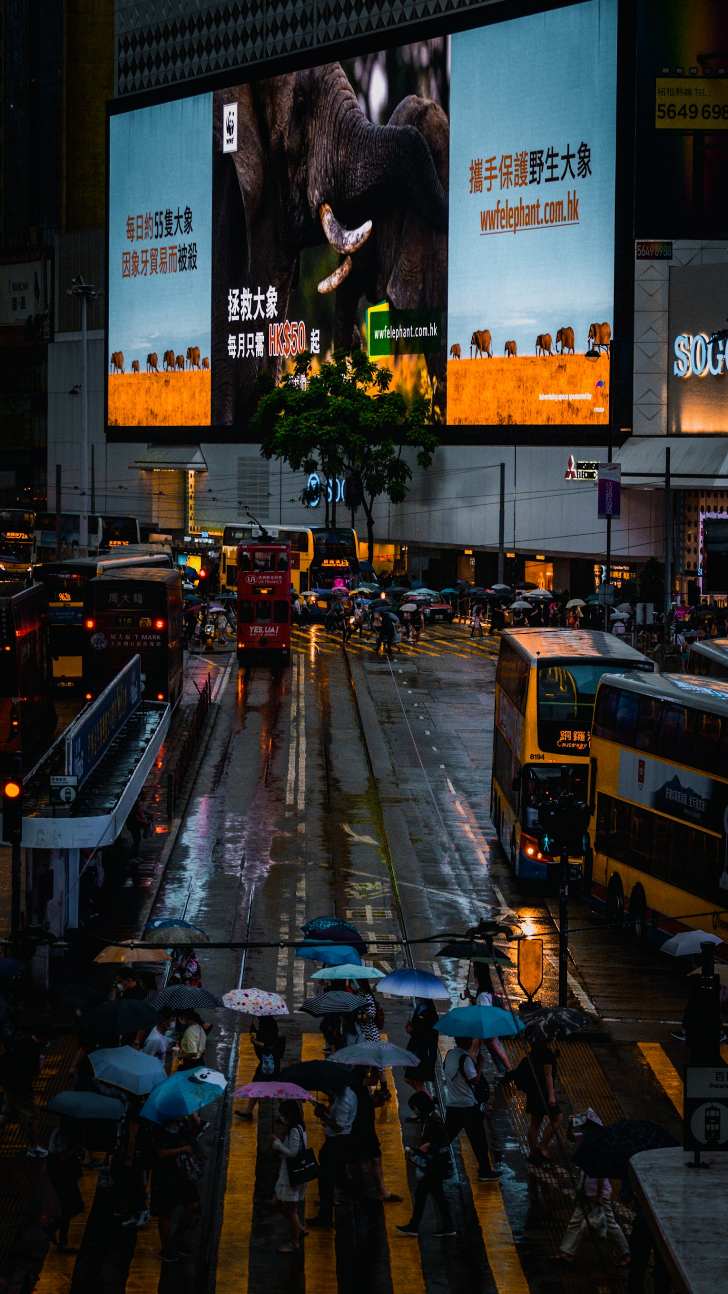Reflexion, Bus, Automotive Lighting, Strom, Durchgangsstraße. Wallpaper in 1440x2560 Resolution