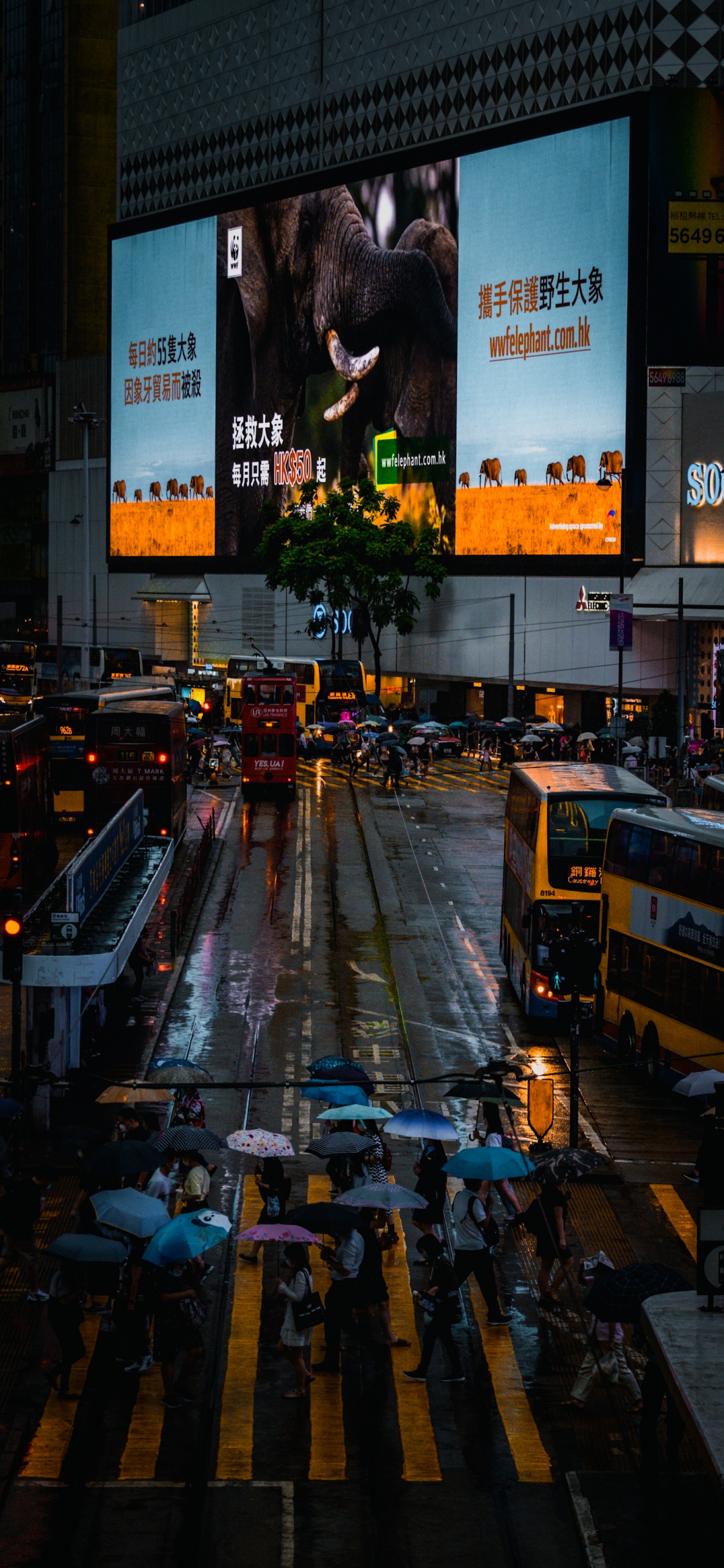 Reflexión, Bus, Iluminación Automotriz, Electricidad, Calle. Wallpaper in 1125x2436 Resolution