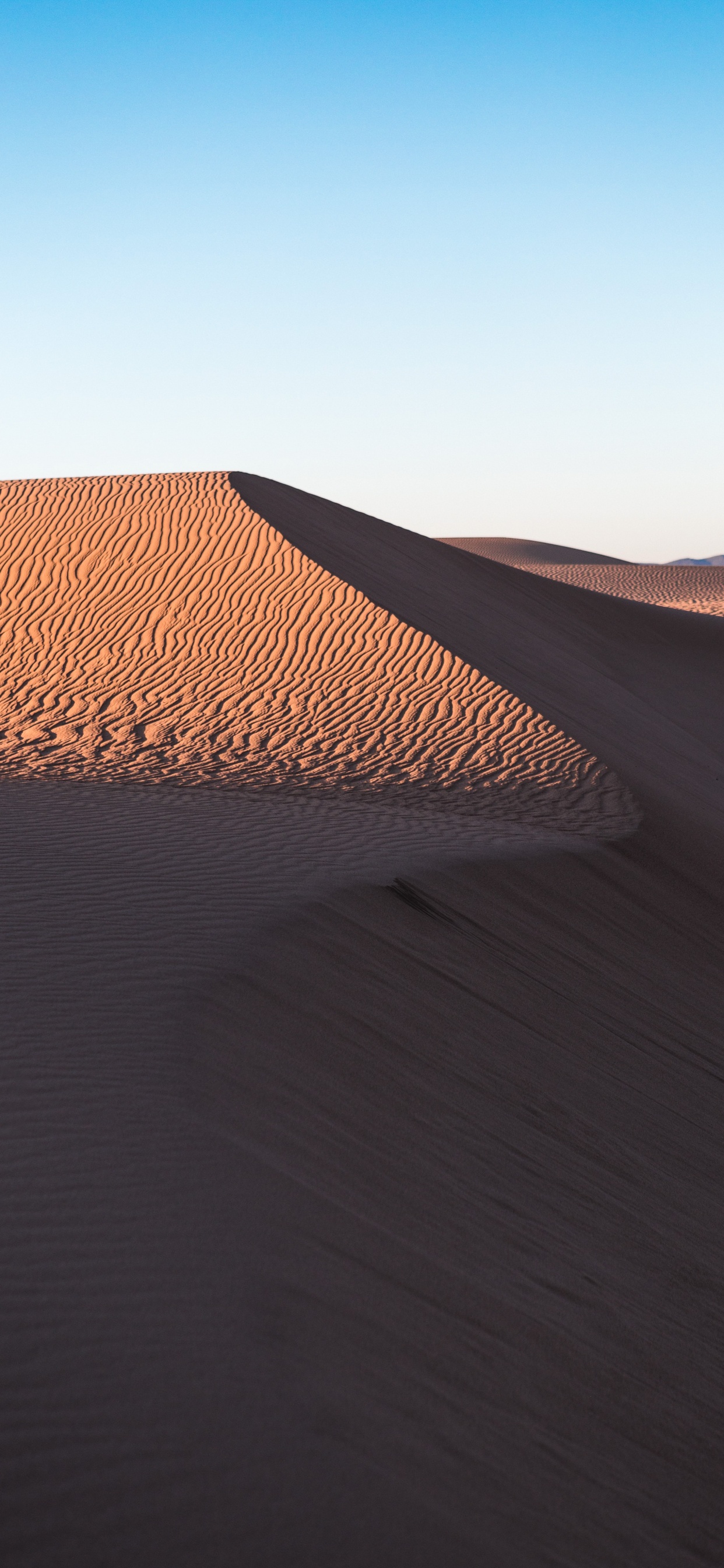 le Chant de Sable, Mathématique, Pente, Paysage Naturel, ERG. Wallpaper in 1242x2688 Resolution
