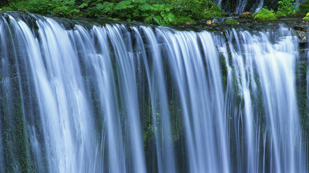 el Agua Cae en el Bosque. Wallpaper in 1280x720 Resolution