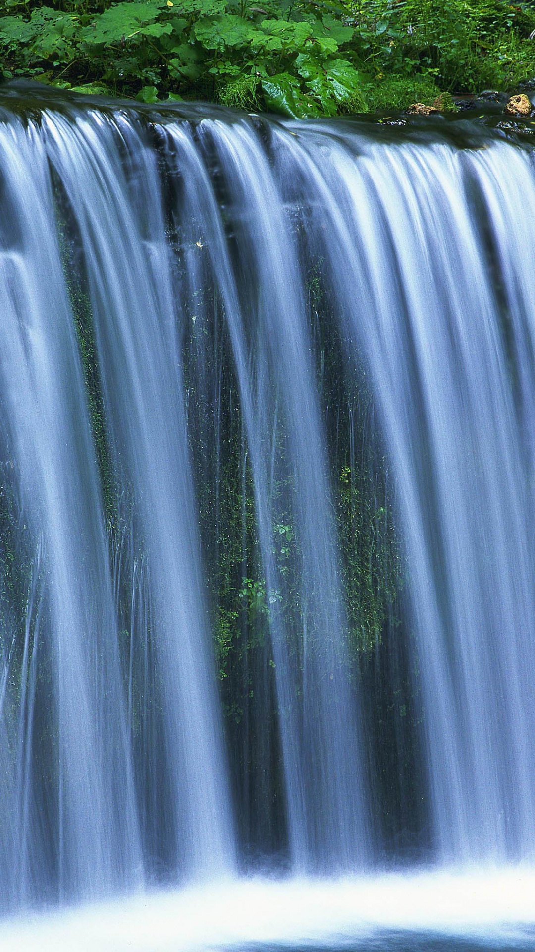 Wasser Fällt im Wald. Wallpaper in 1080x1920 Resolution
