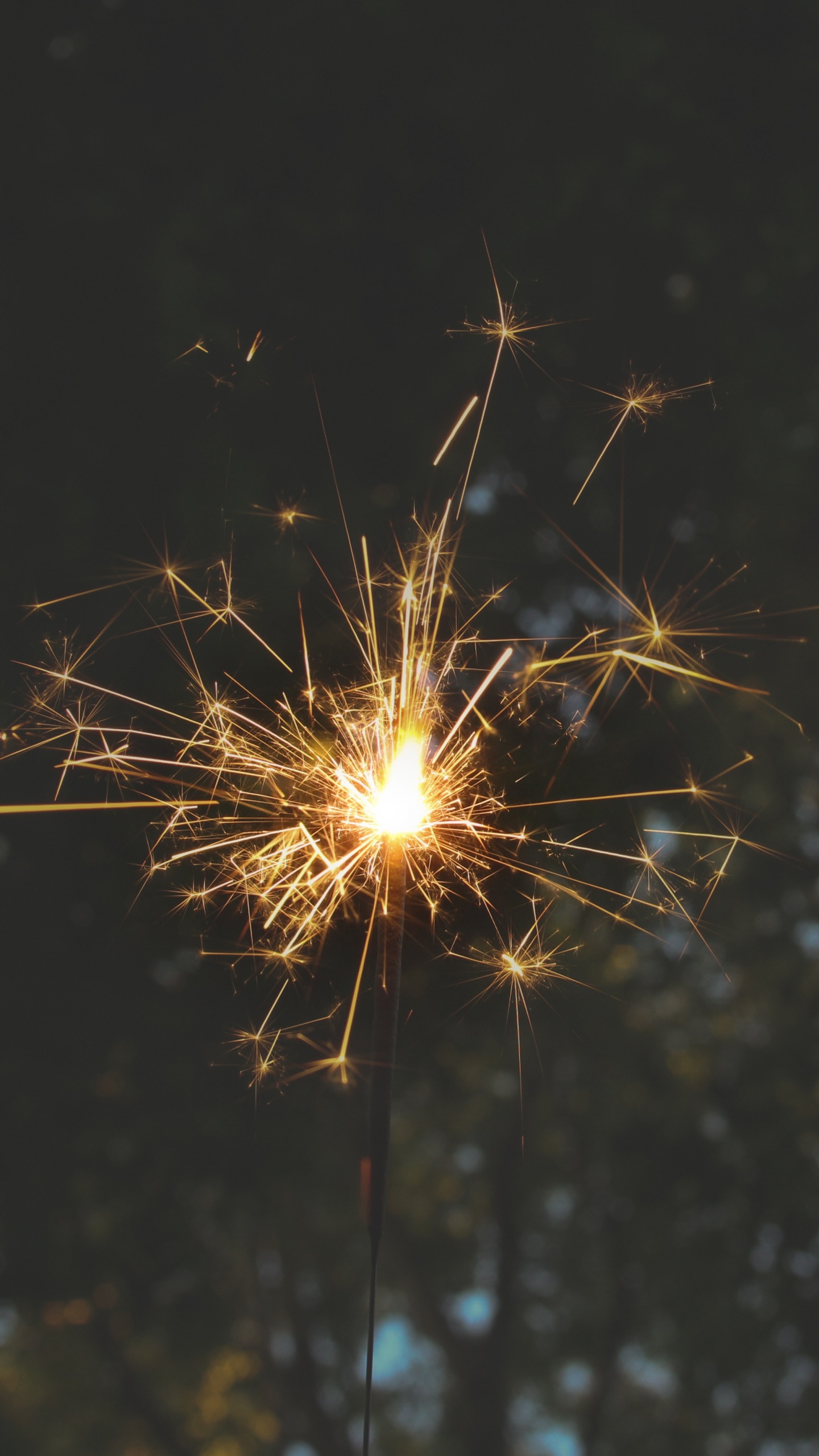 Fire, Fireworks, Sparkler, Diwali, Holiday. Wallpaper in 1440x2560 Resolution