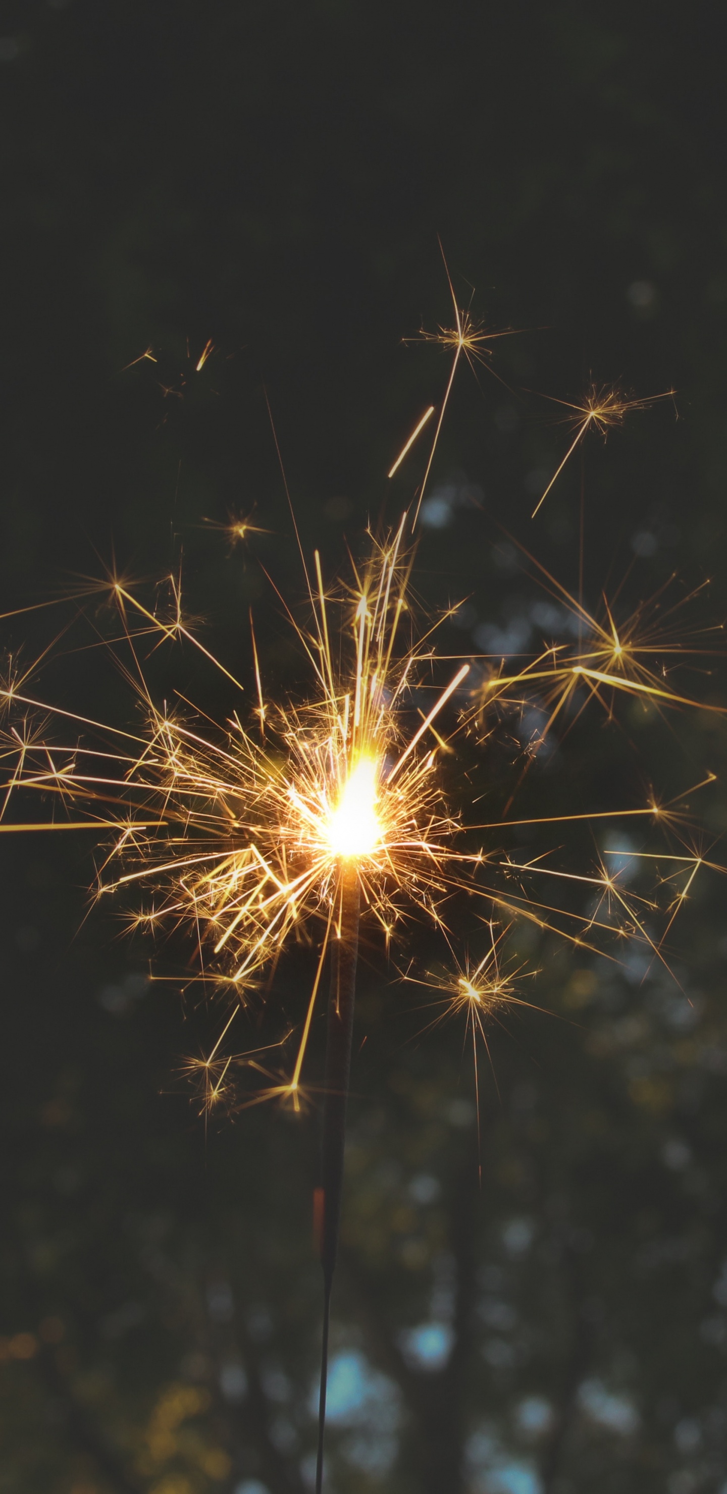 Fire, Fireworks, Sparkler, Diwali, Holiday. Wallpaper in 1440x2960 Resolution