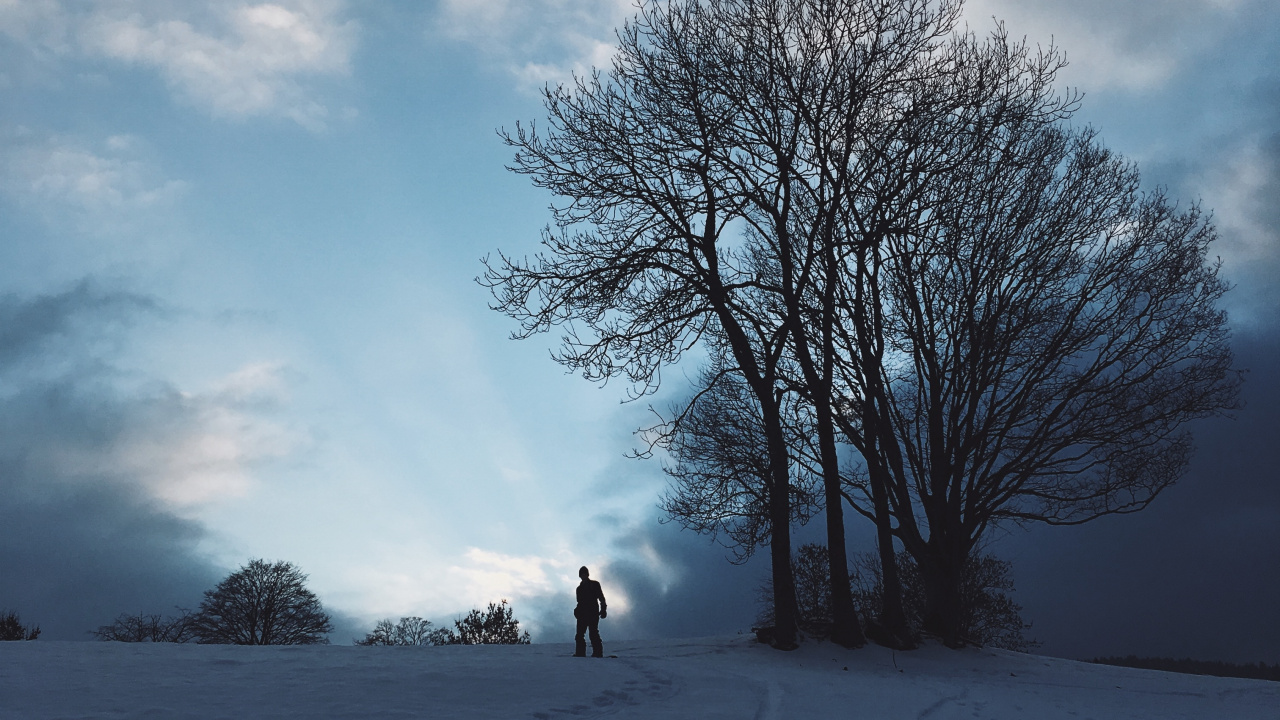 Neige, Hiver, Congélation, Paysage Naturel, Atmosphère. Wallpaper in 1280x720 Resolution